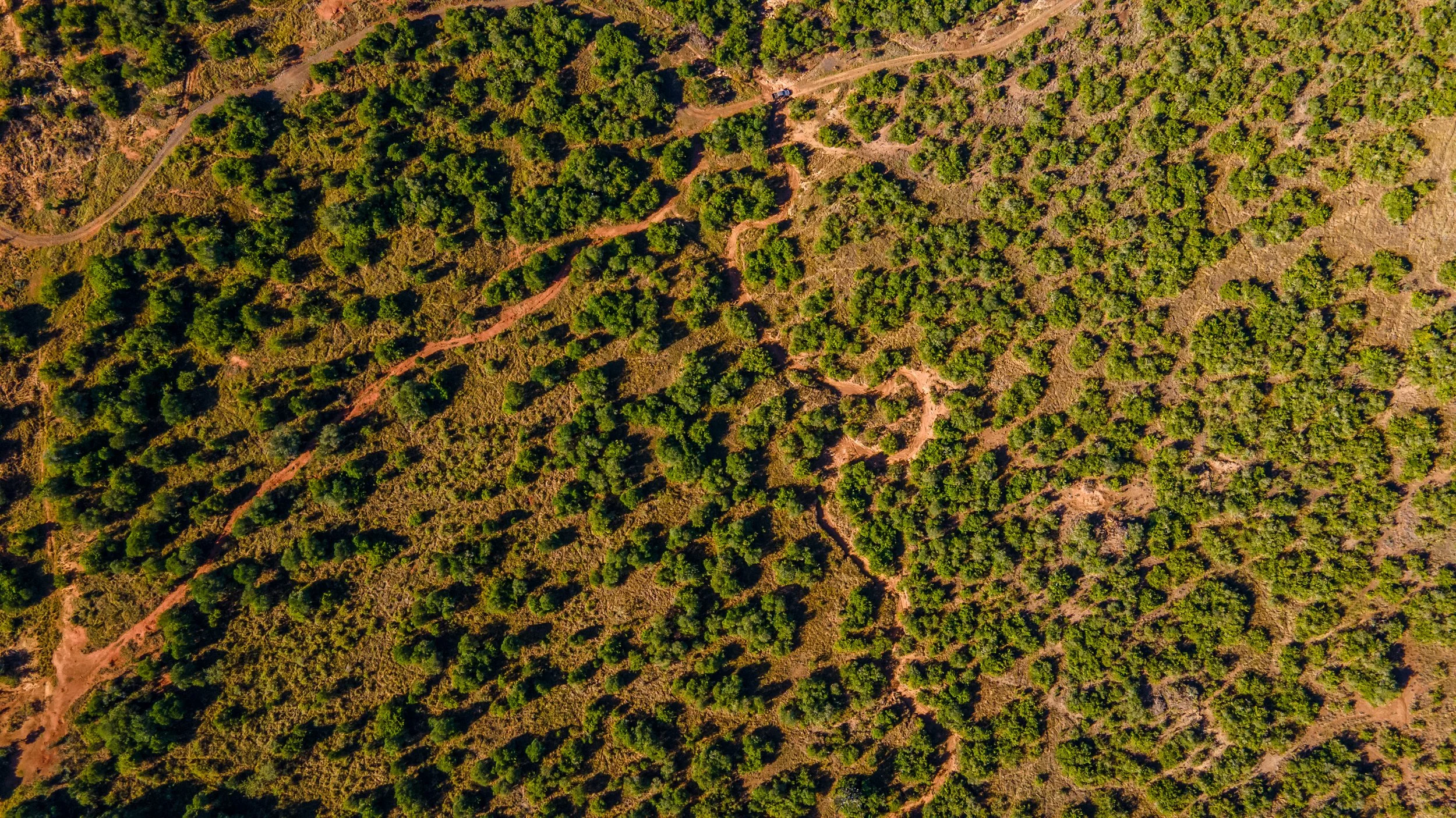 DJI_0277.jpg