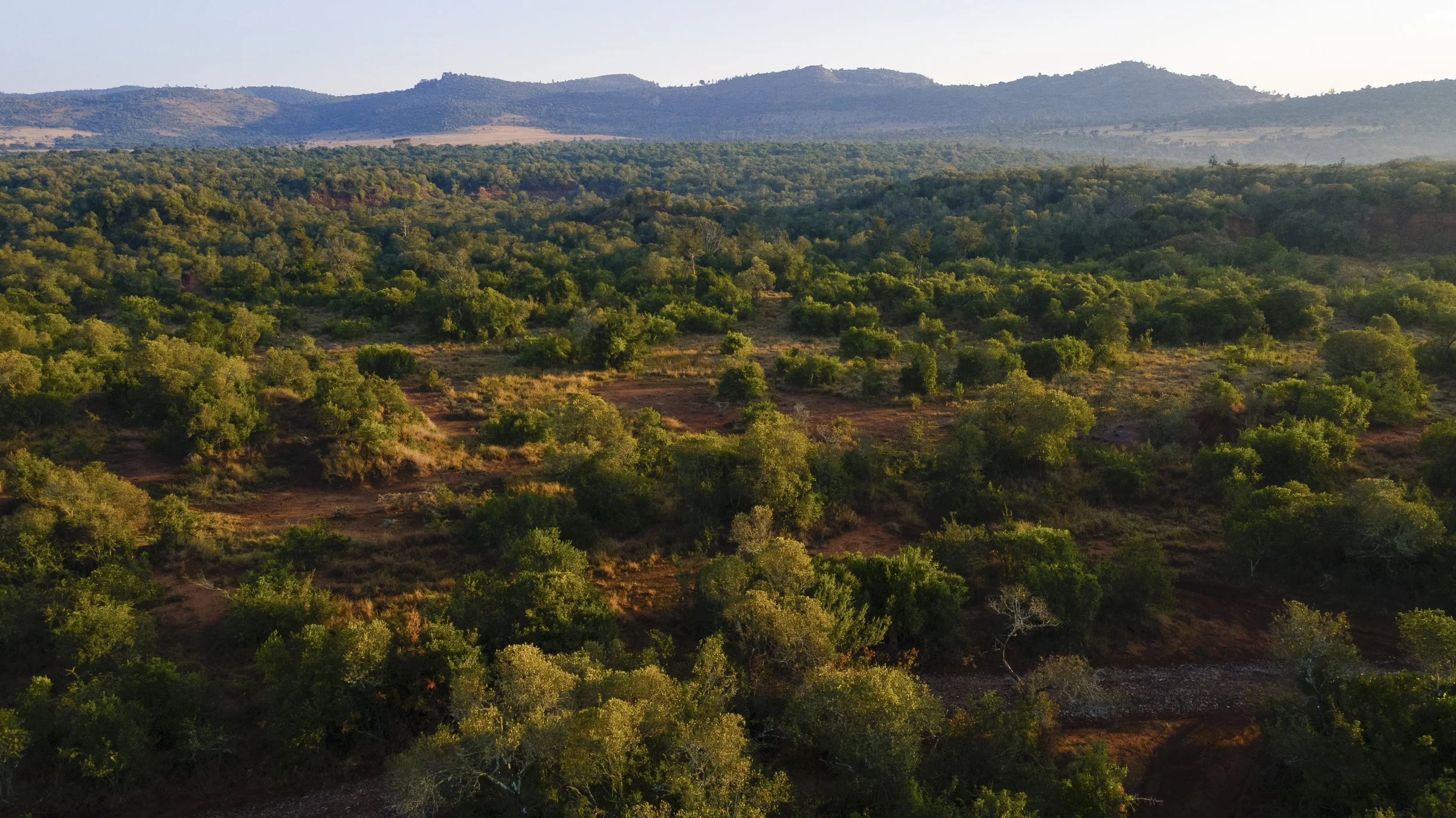 DJI_0025.jpg