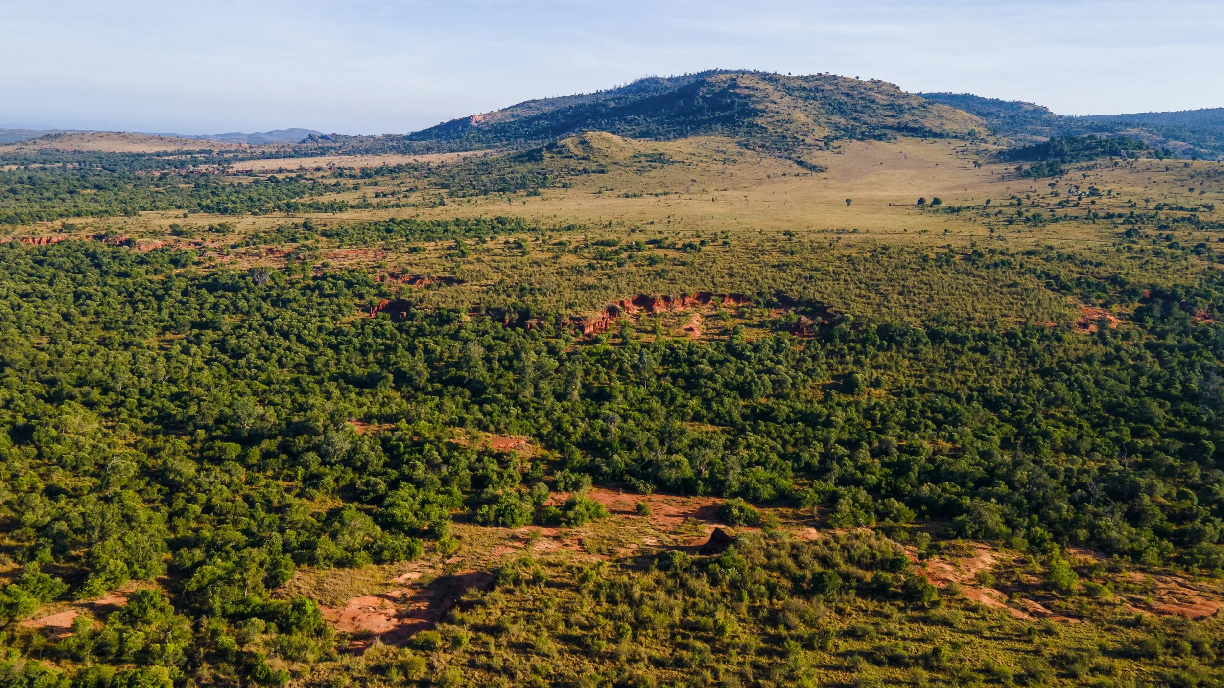 DJI_0183.jpg