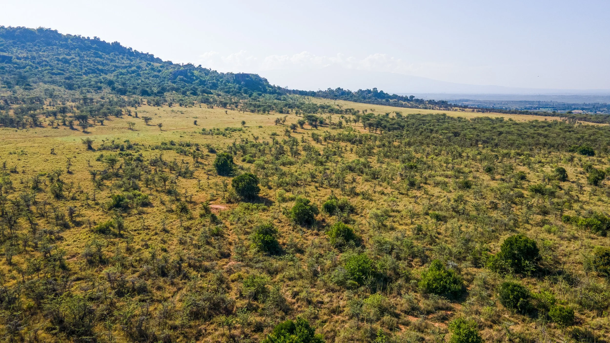 DJI_0902.jpg