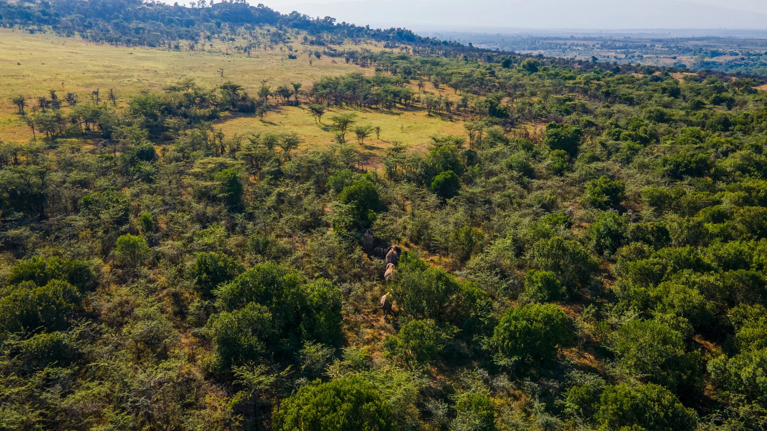 DJI_0845.jpg