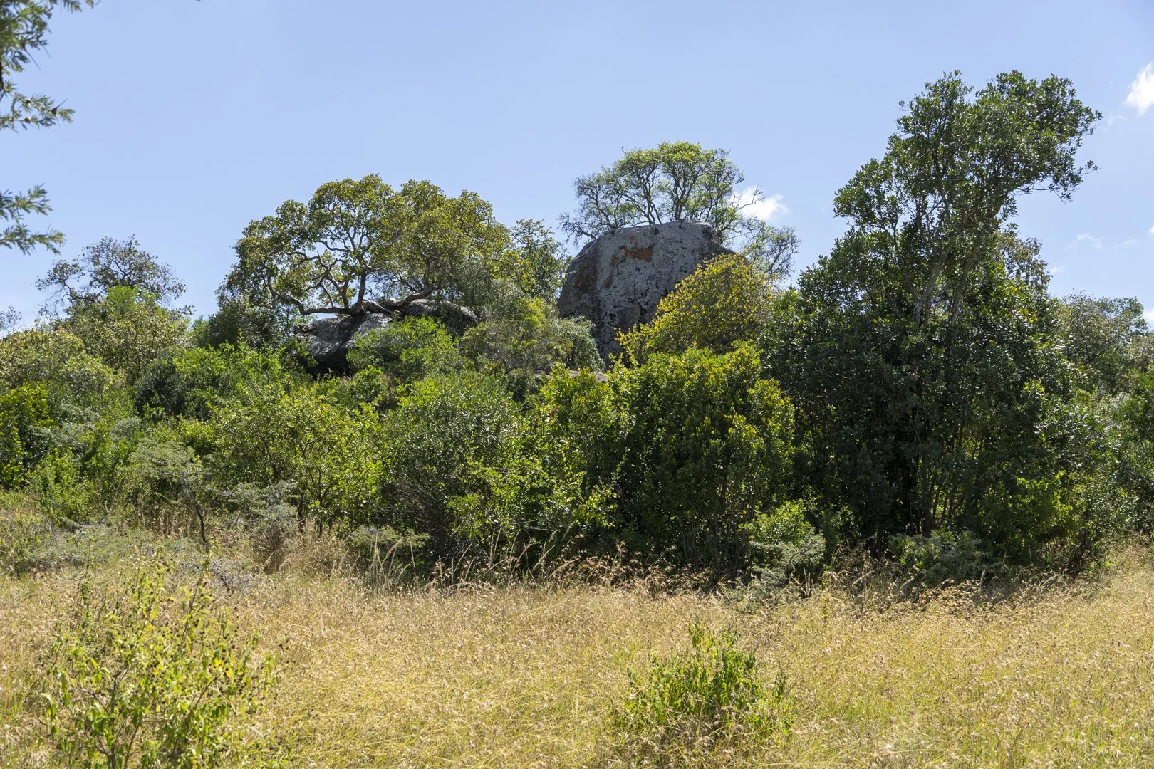DSC09822.jpg