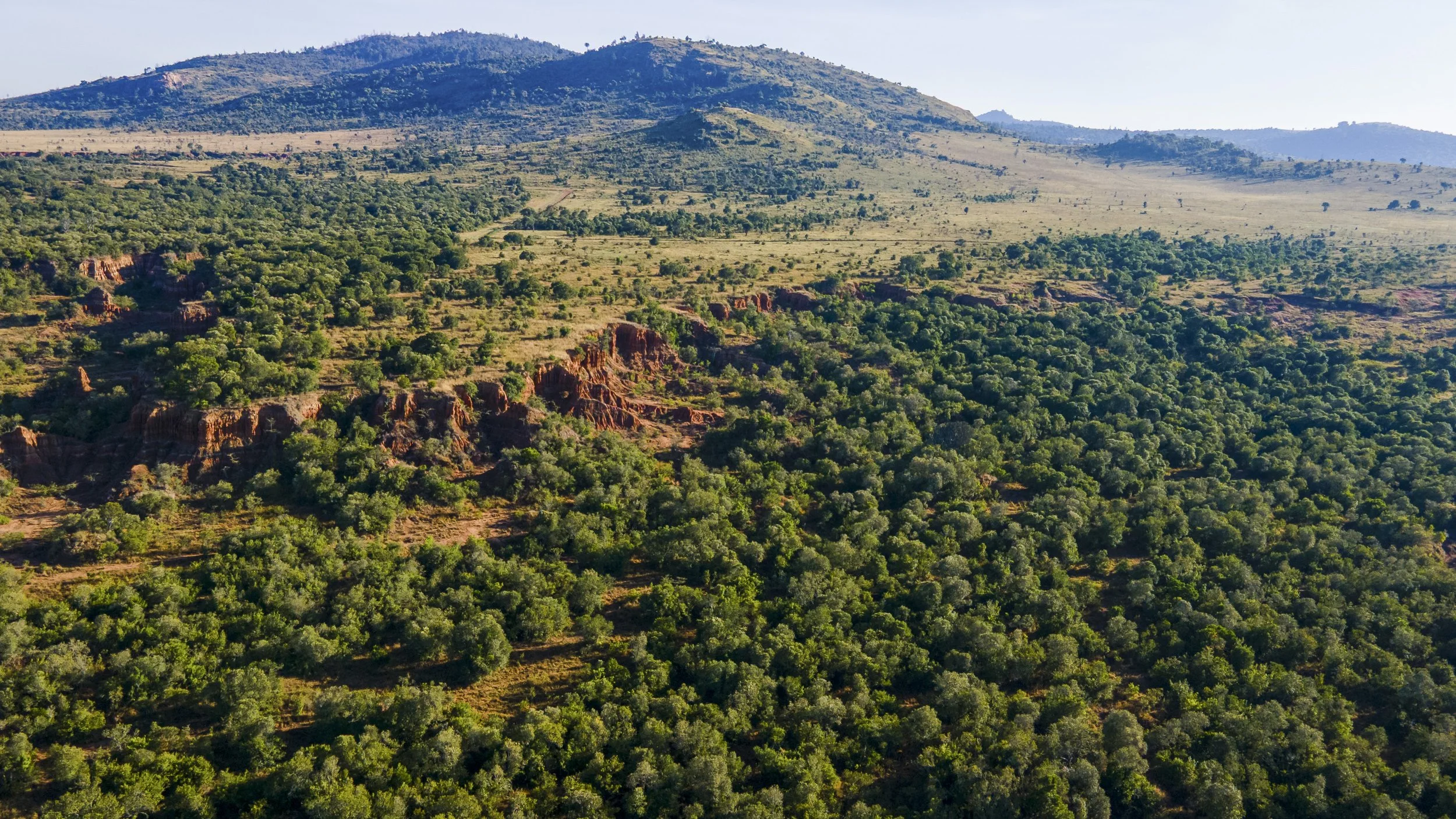 DJI_0198.jpg