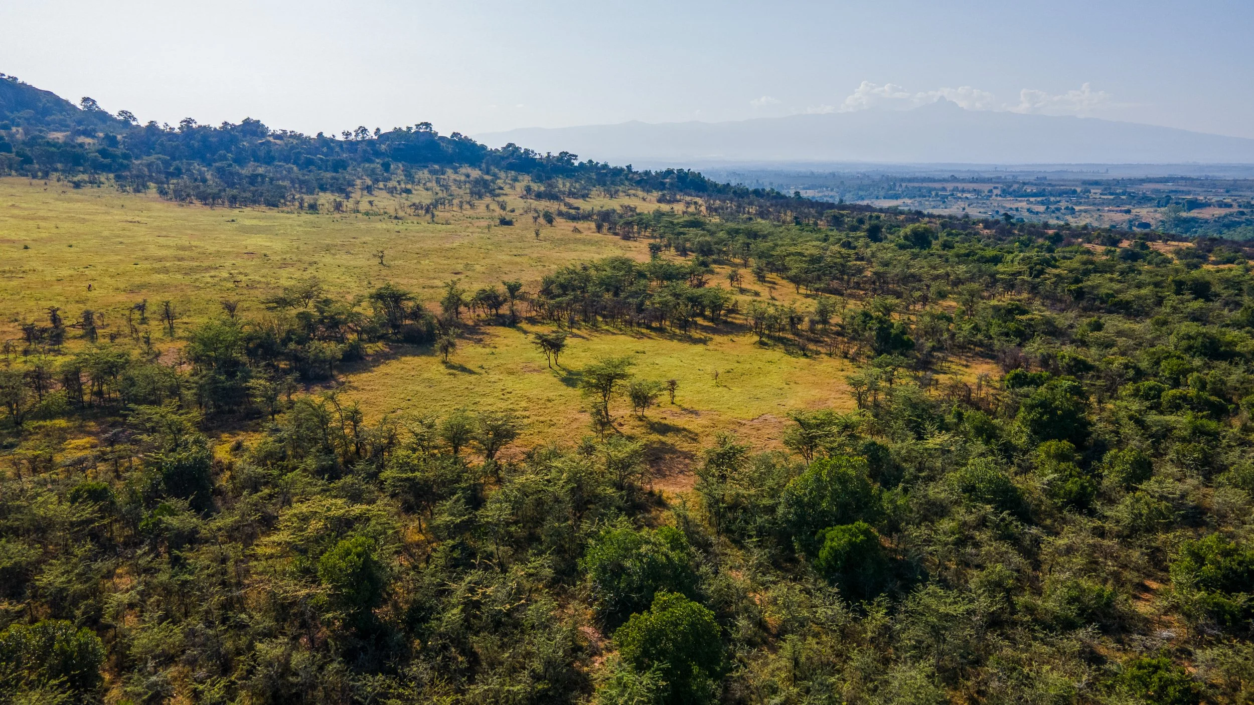 DJI_0839.jpg