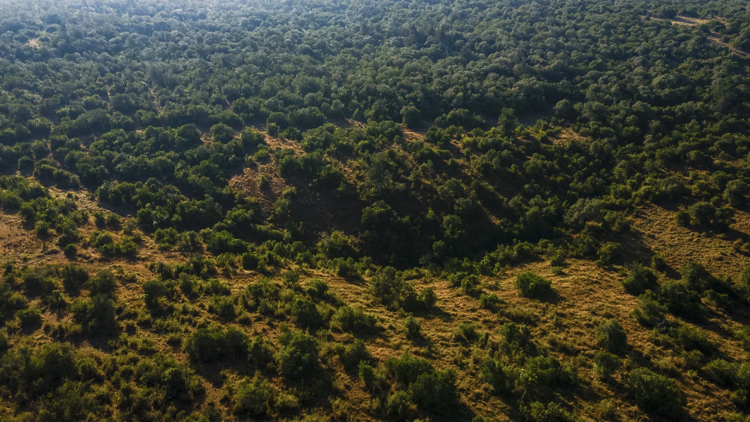 DJI_0062.jpg