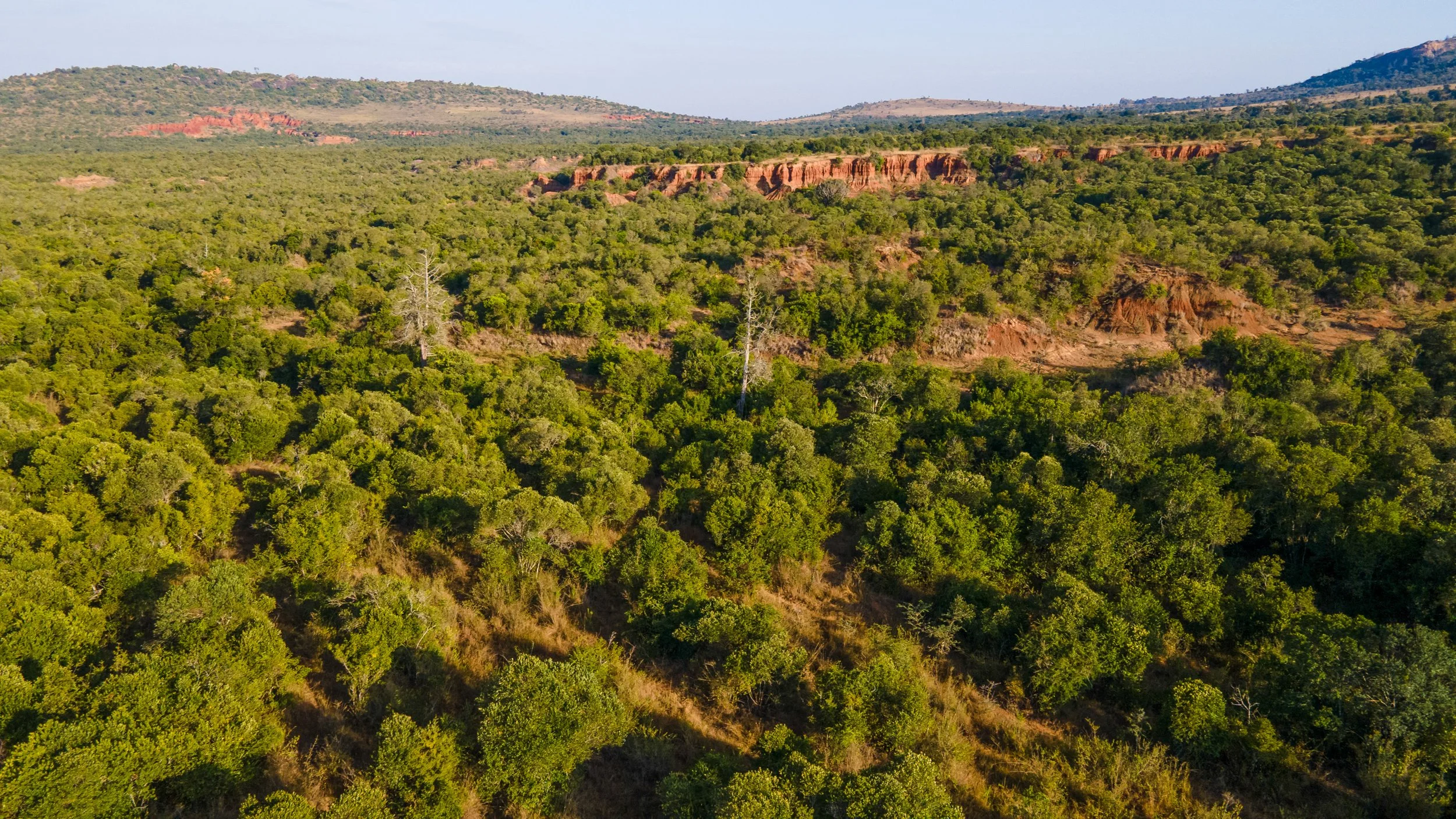 DJI_0713.jpg