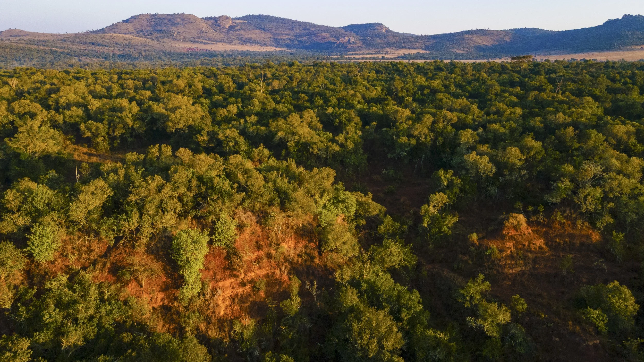 DJI_0007.jpg