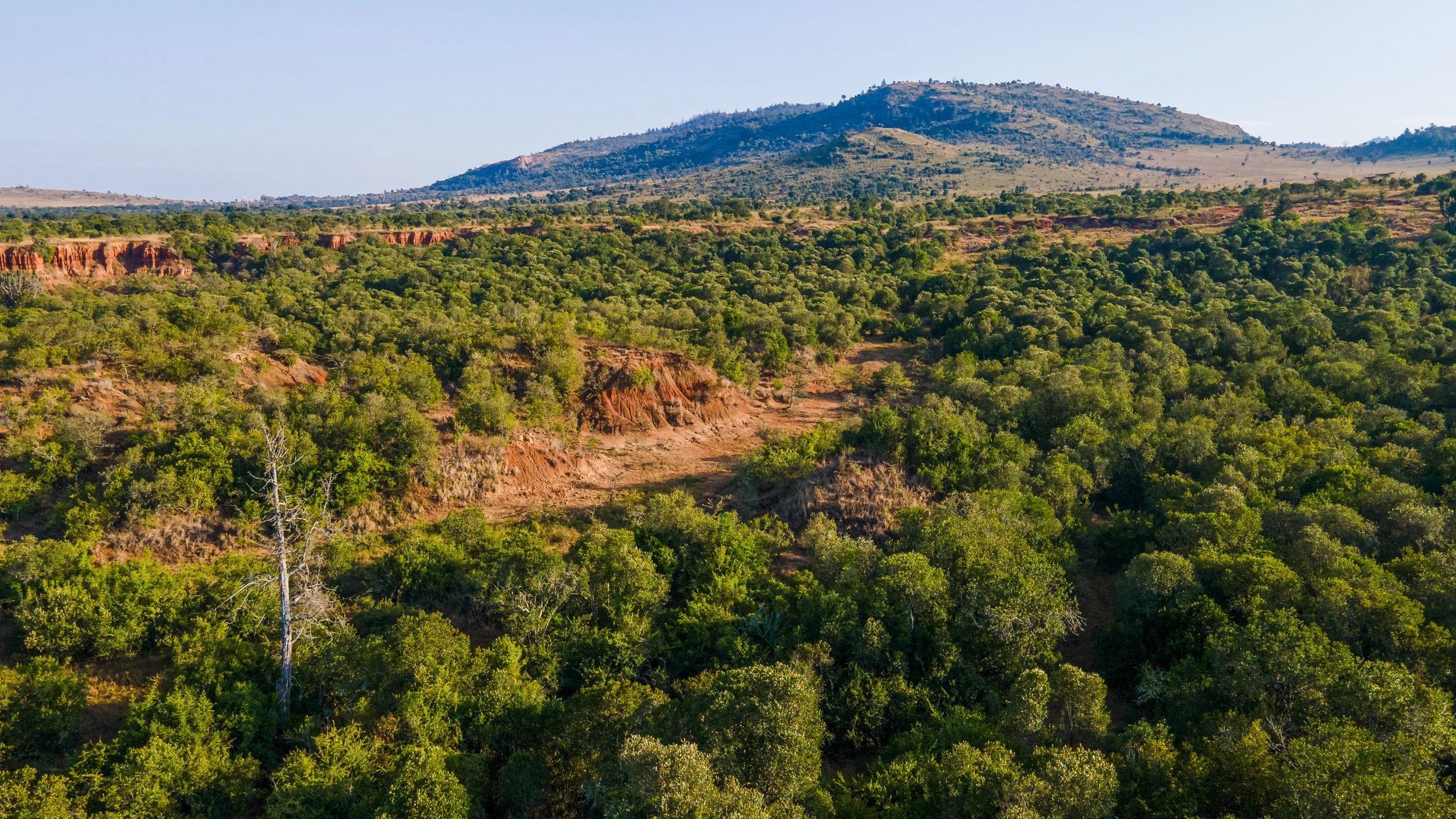 DJI_0722.jpg