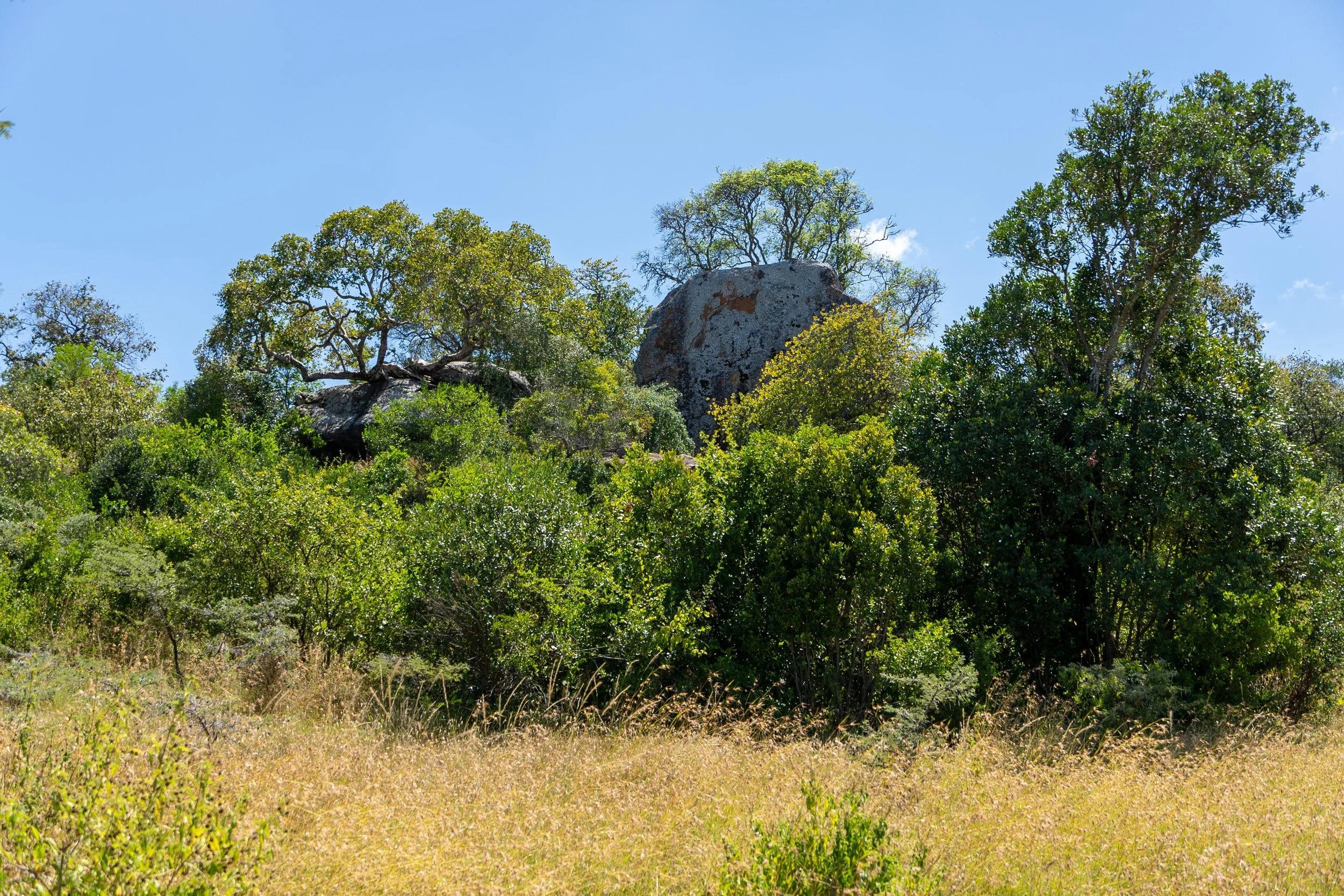 DSC09821.jpg