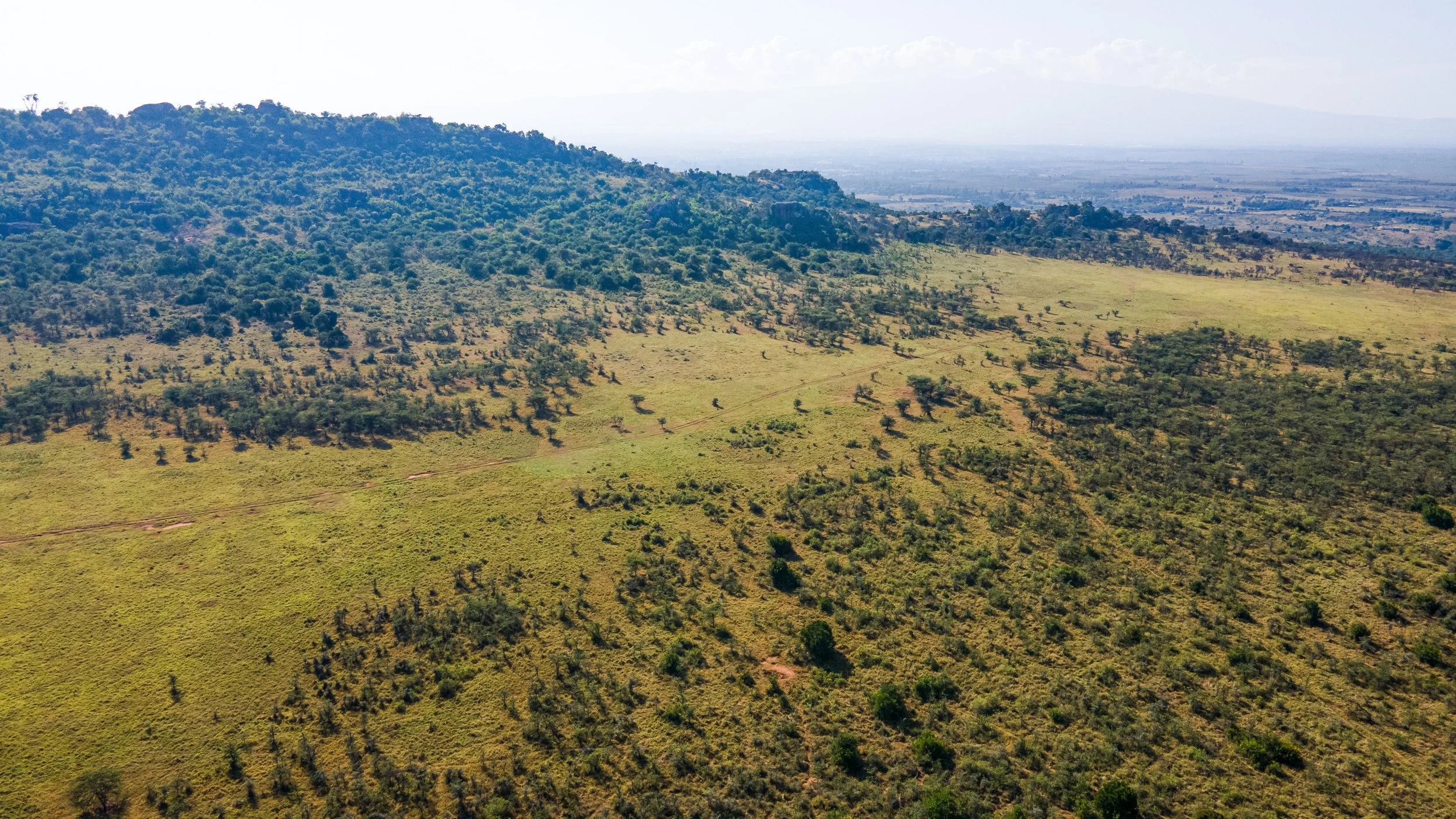 DJI_0898.jpg