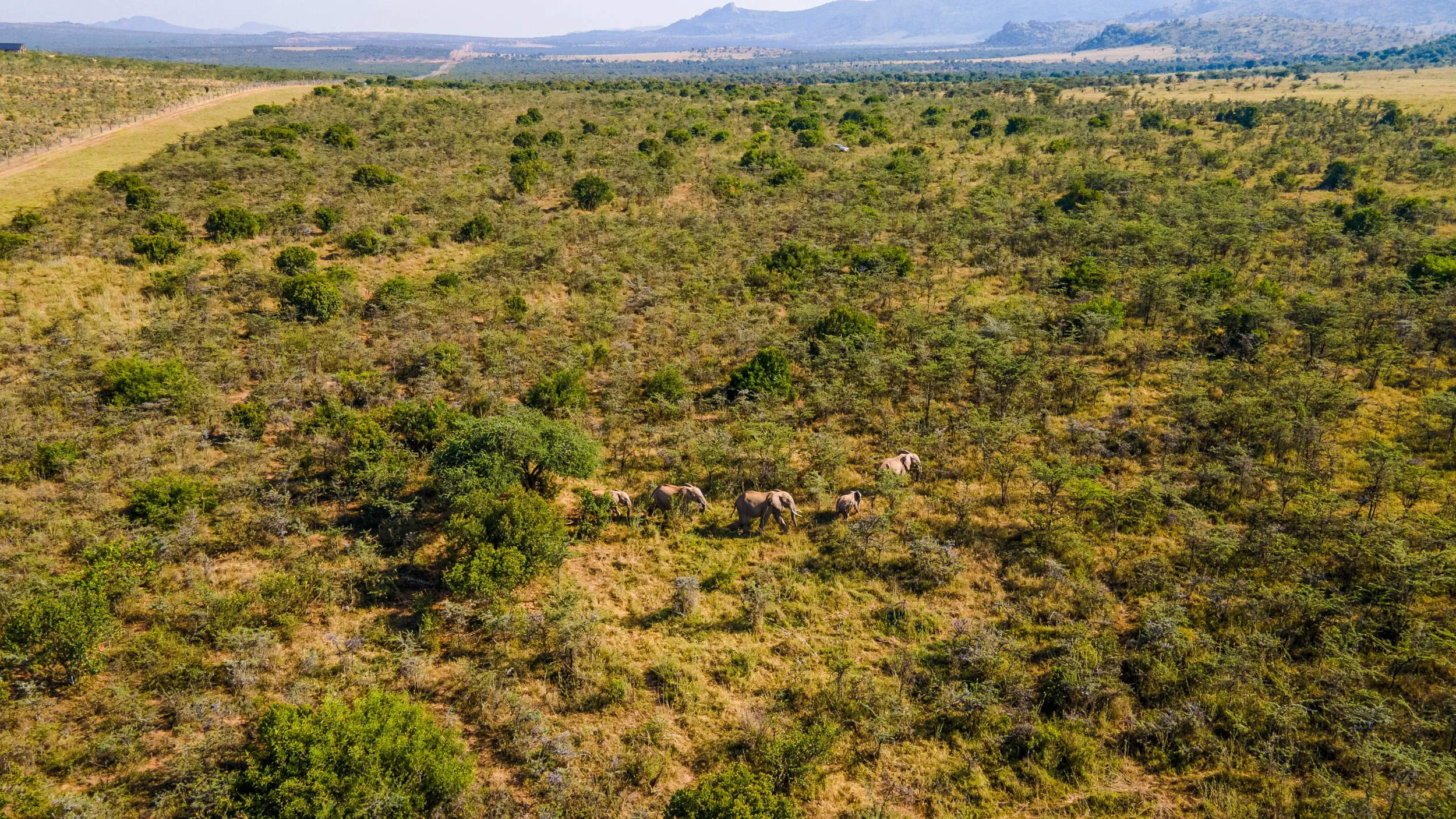 DJI_0926.jpg