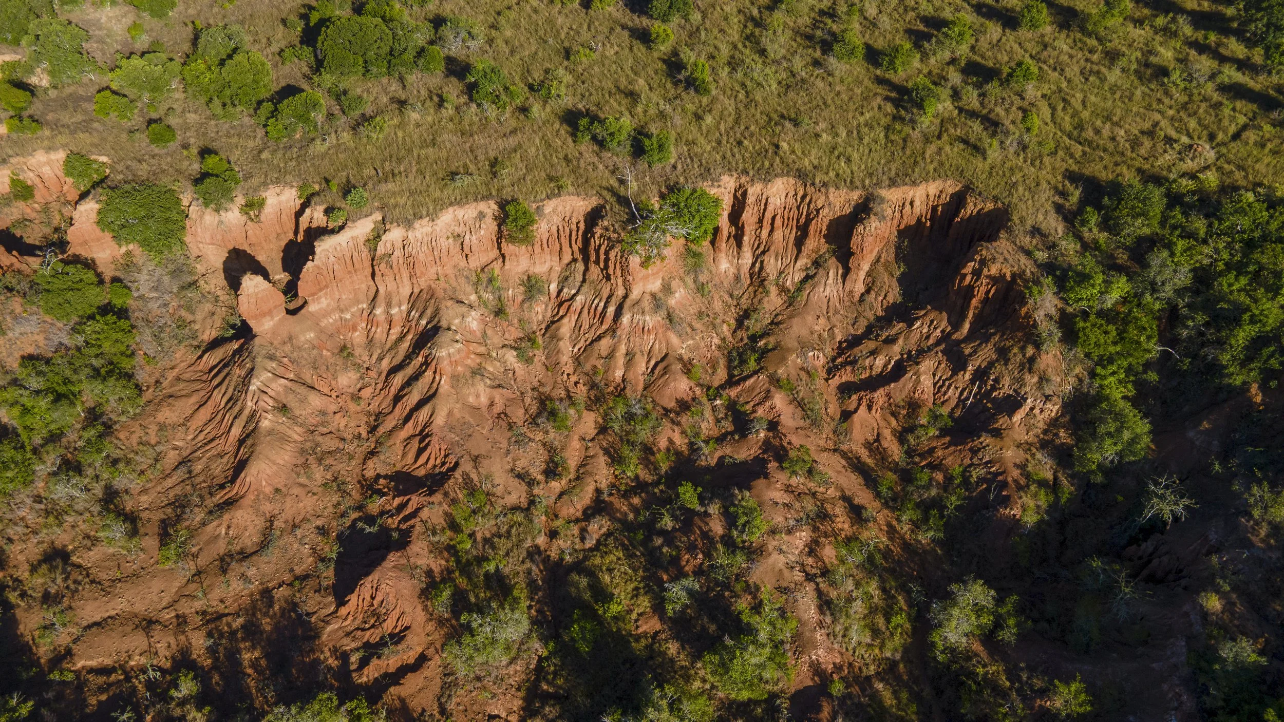DJI_0208.jpg