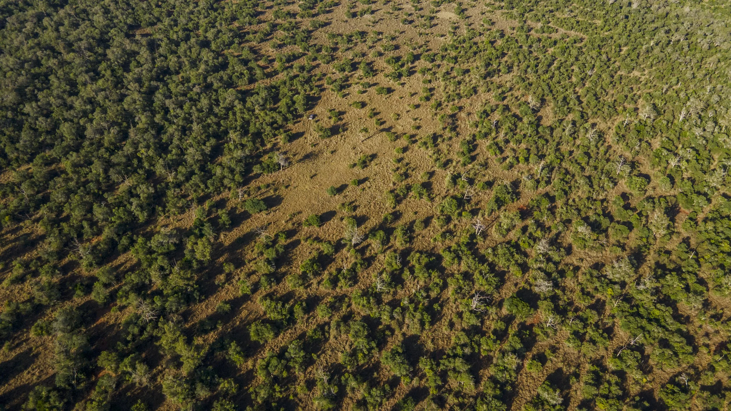 DJI_0521.jpg