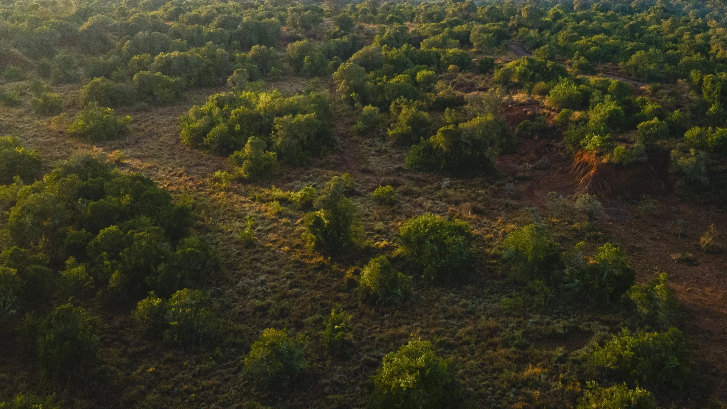 DJI_0012.jpg