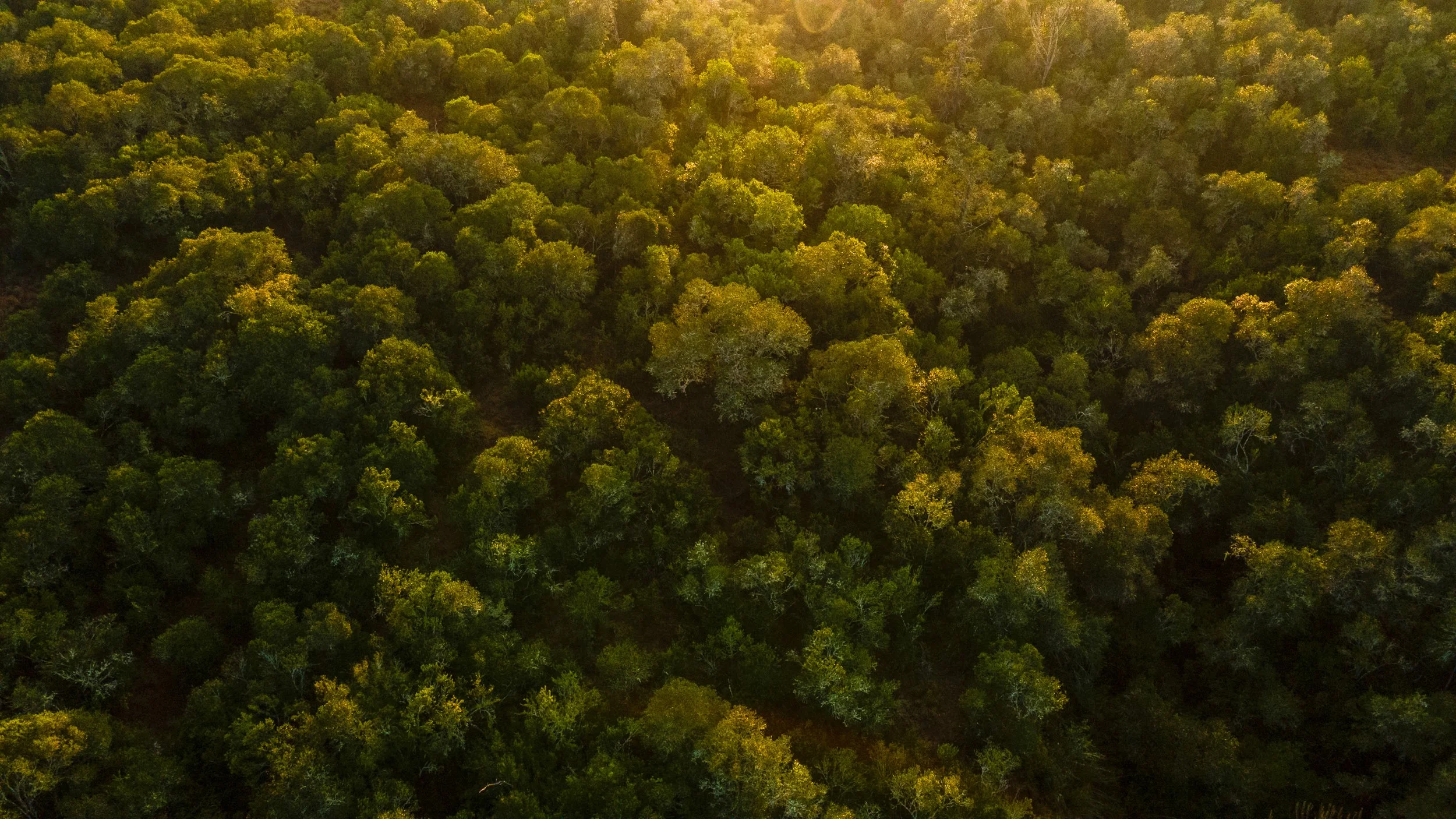 DJI_0002.jpg