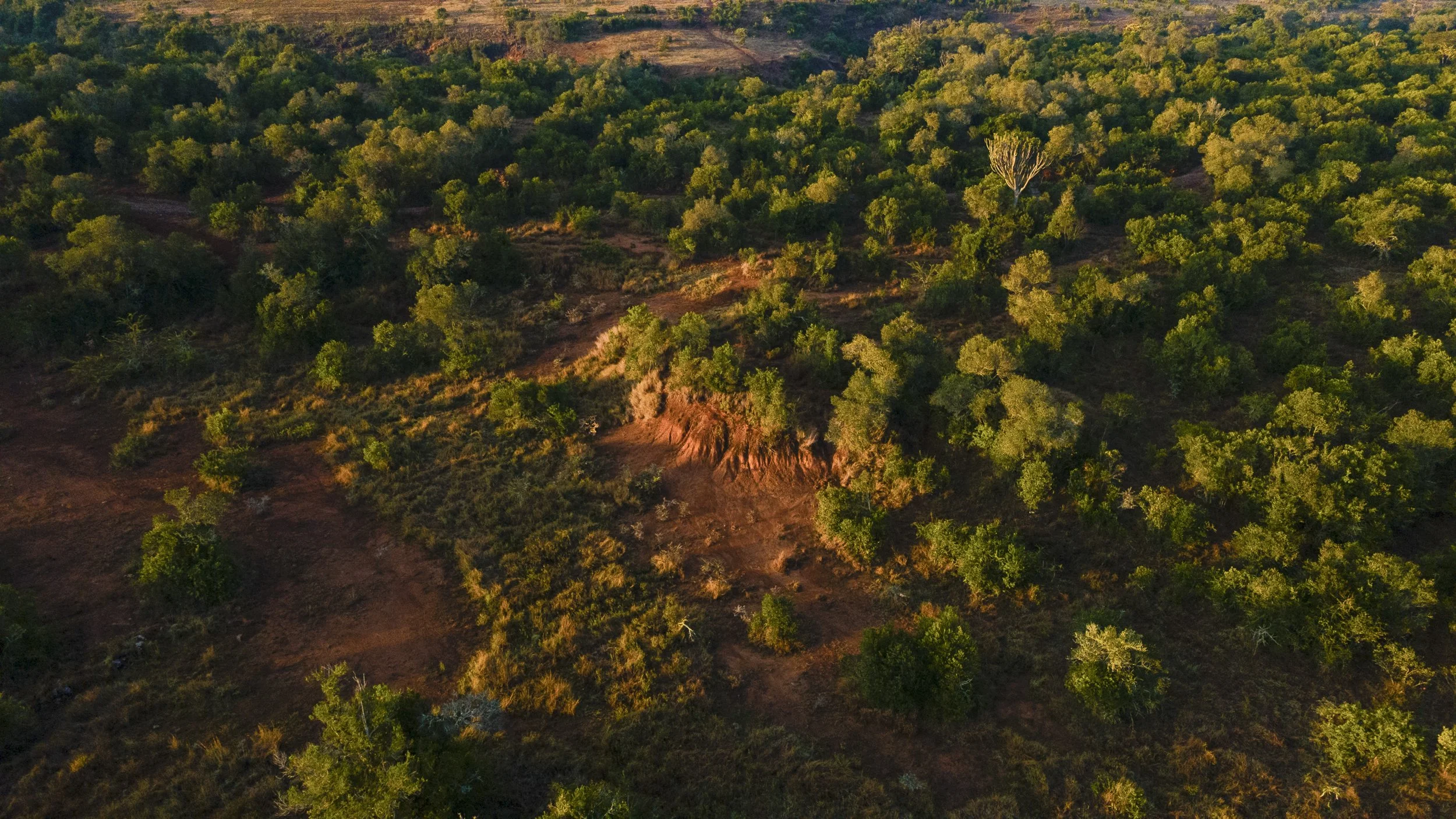 DJI_0011.jpg