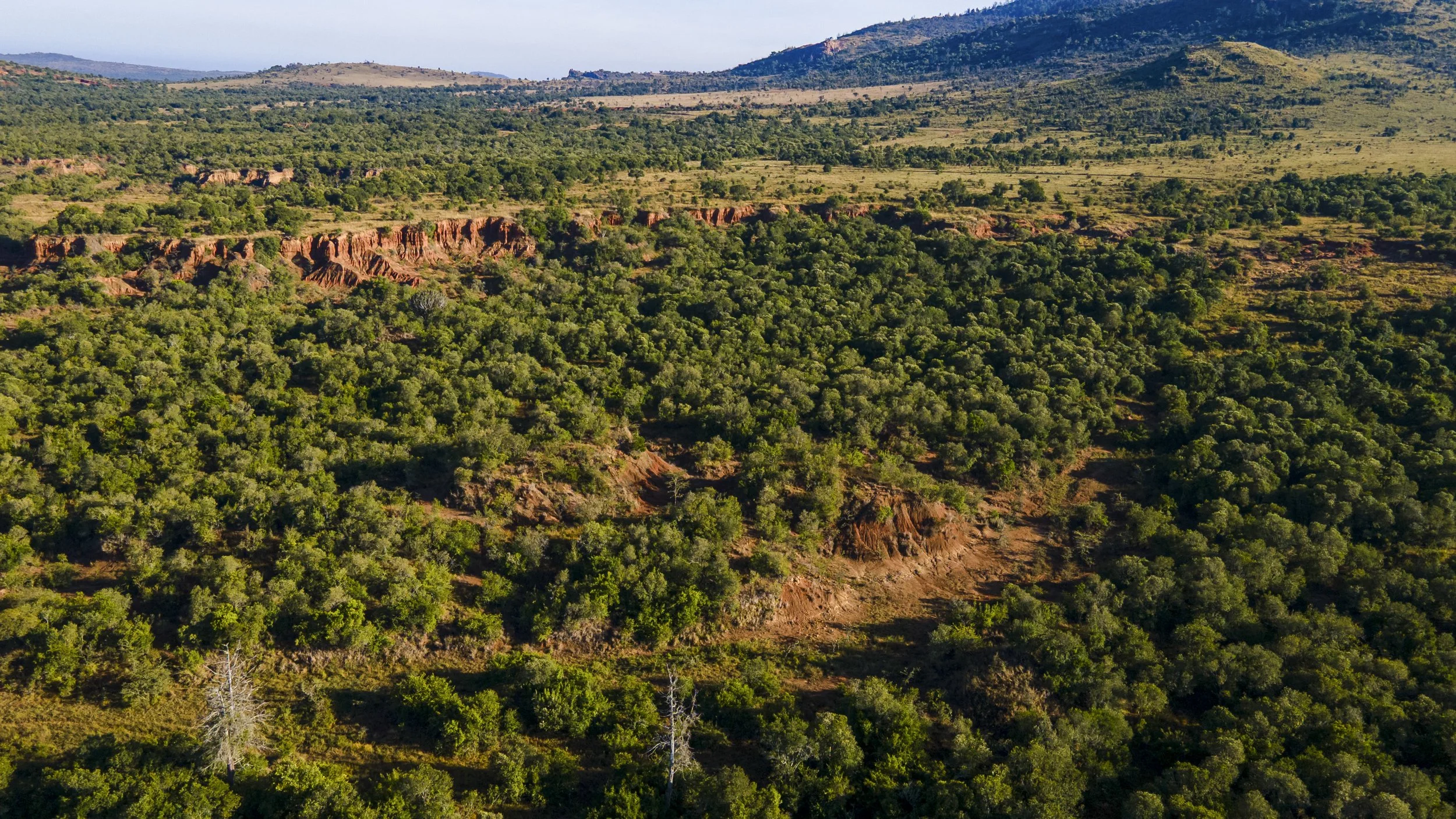 DJI_0196.jpg