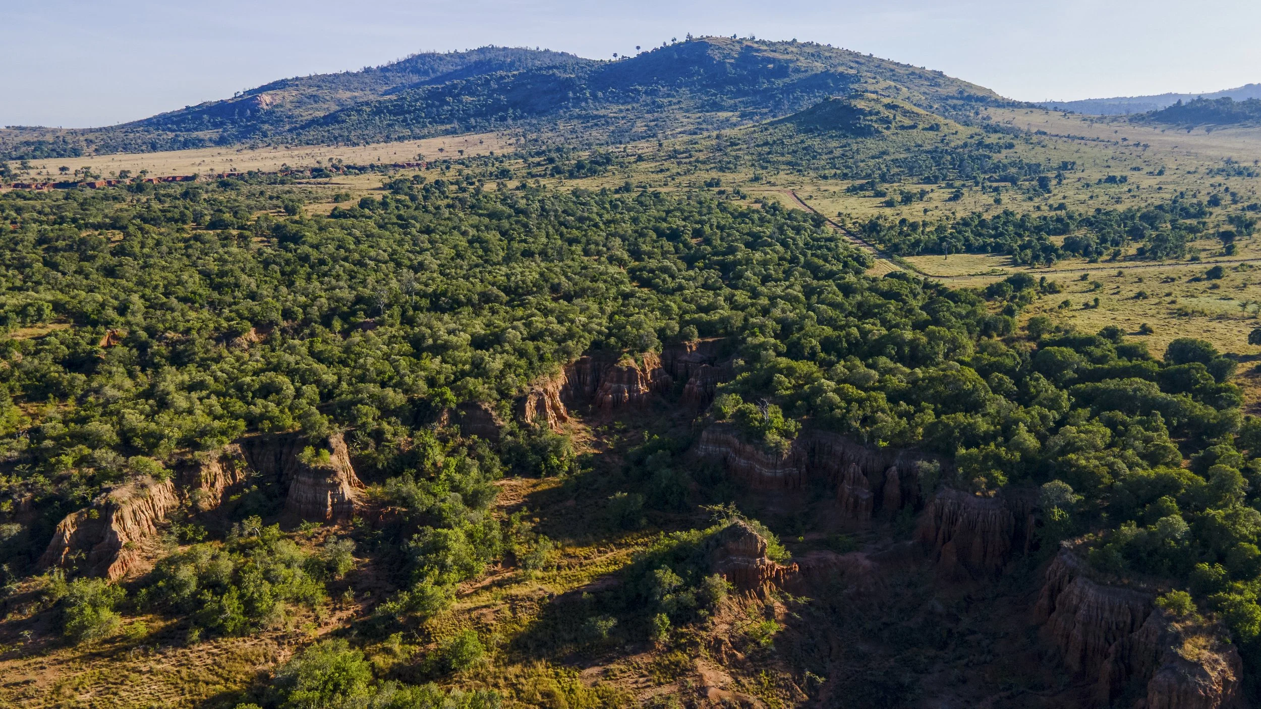 DJI_0201.jpg