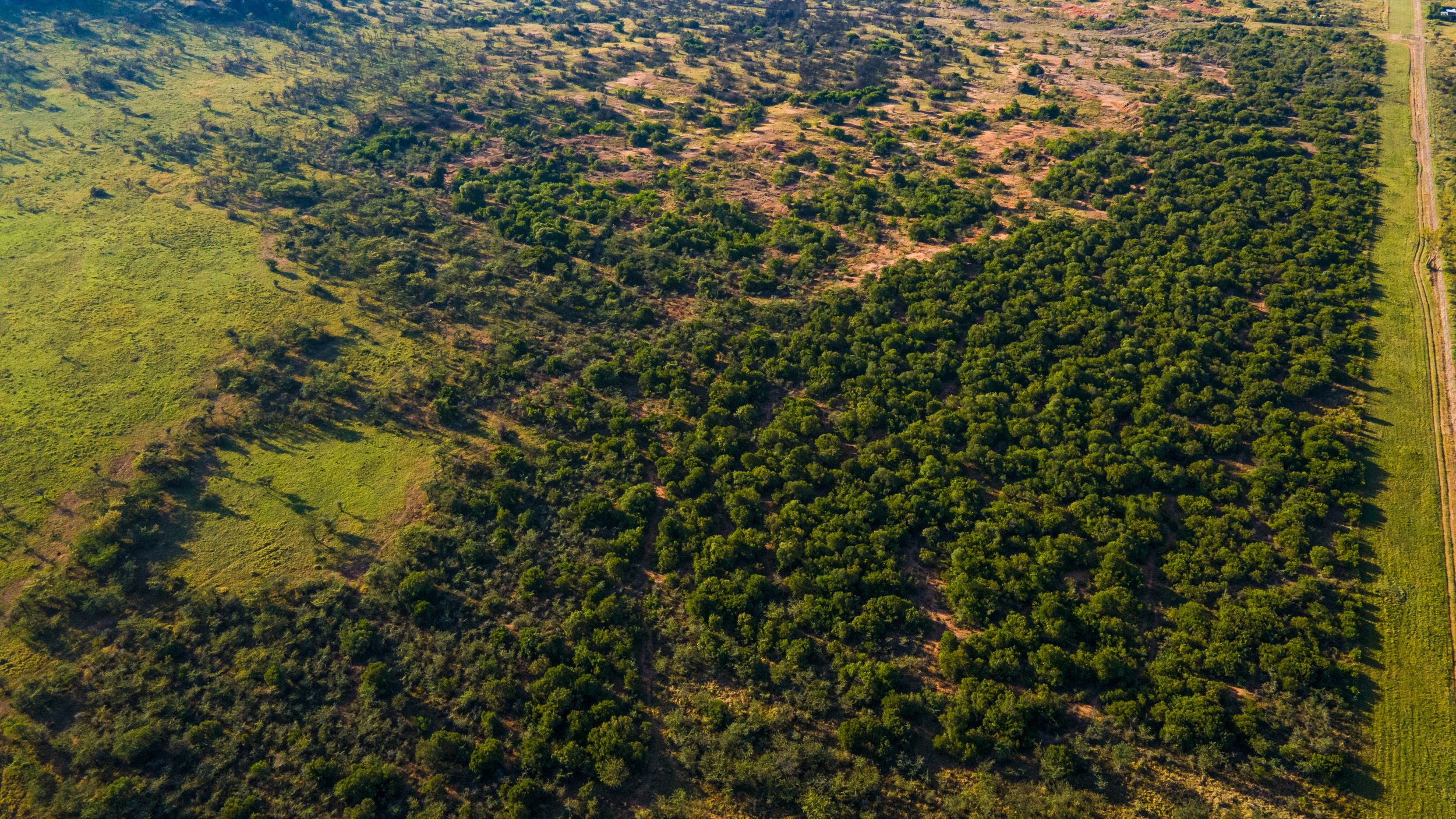 DJI_0109.jpg