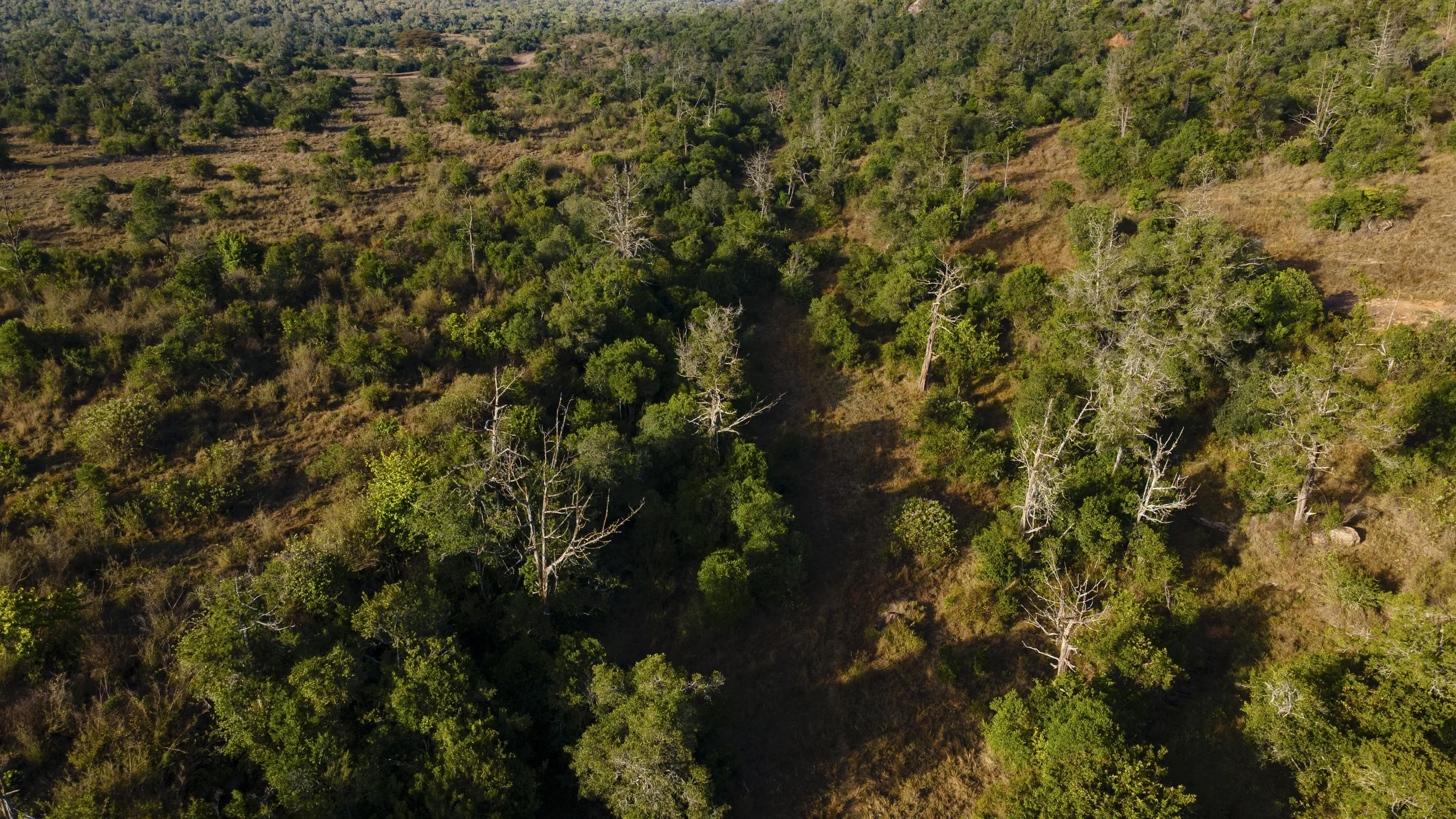 DJI_0273.jpg
