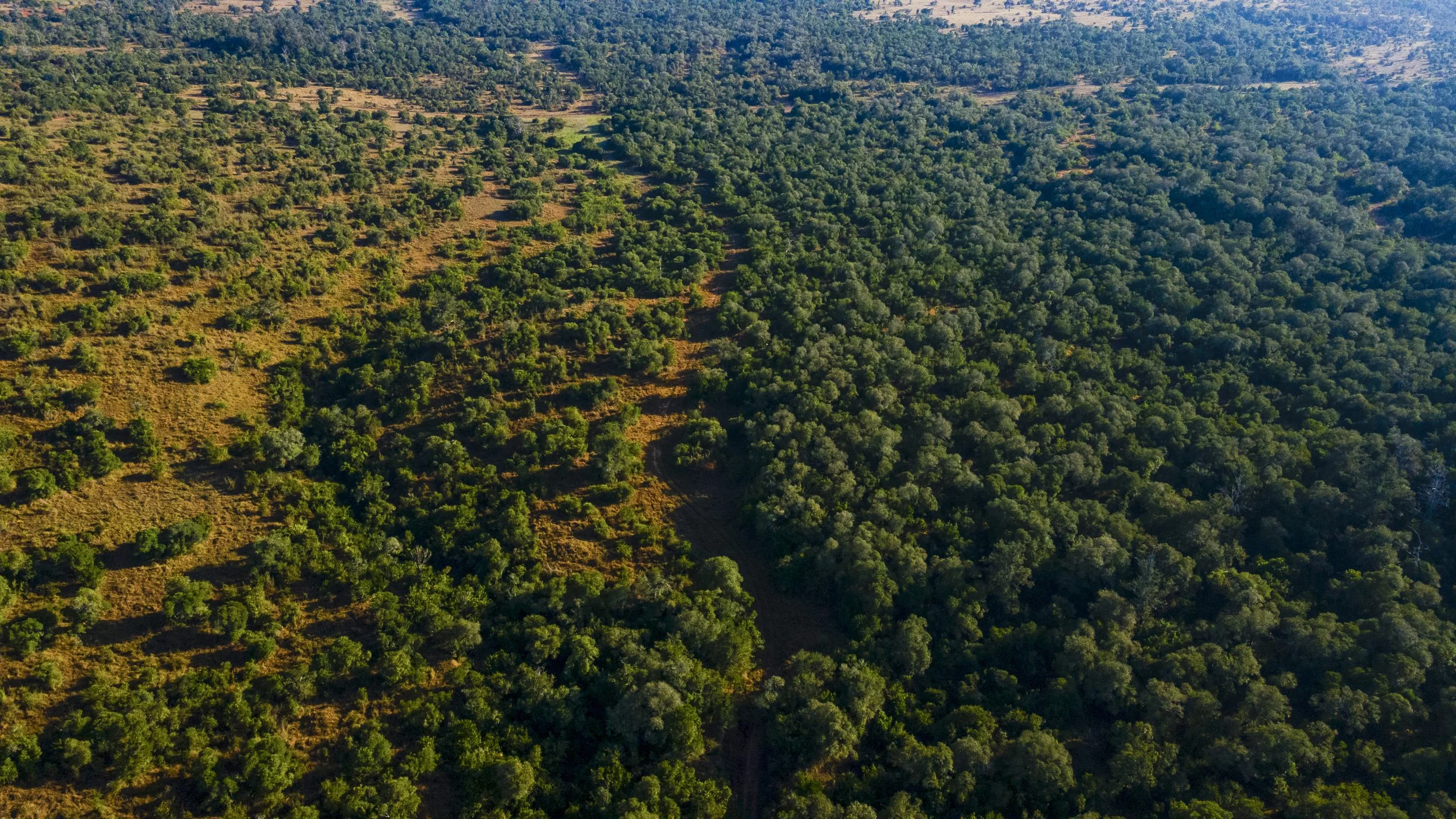 DJI_0122.jpg