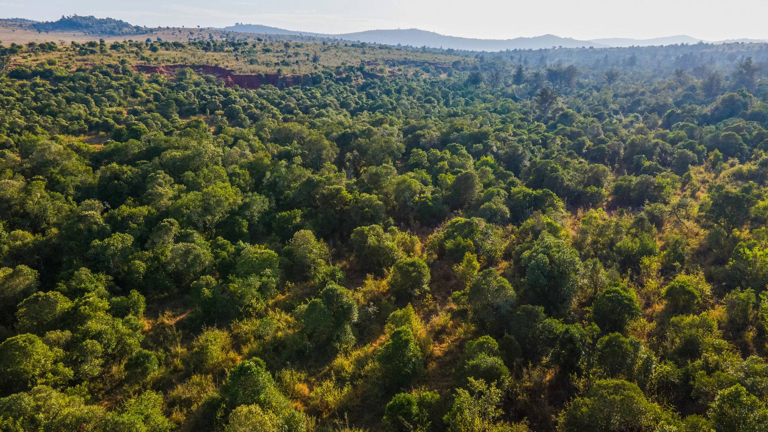 DJI_0711.jpg