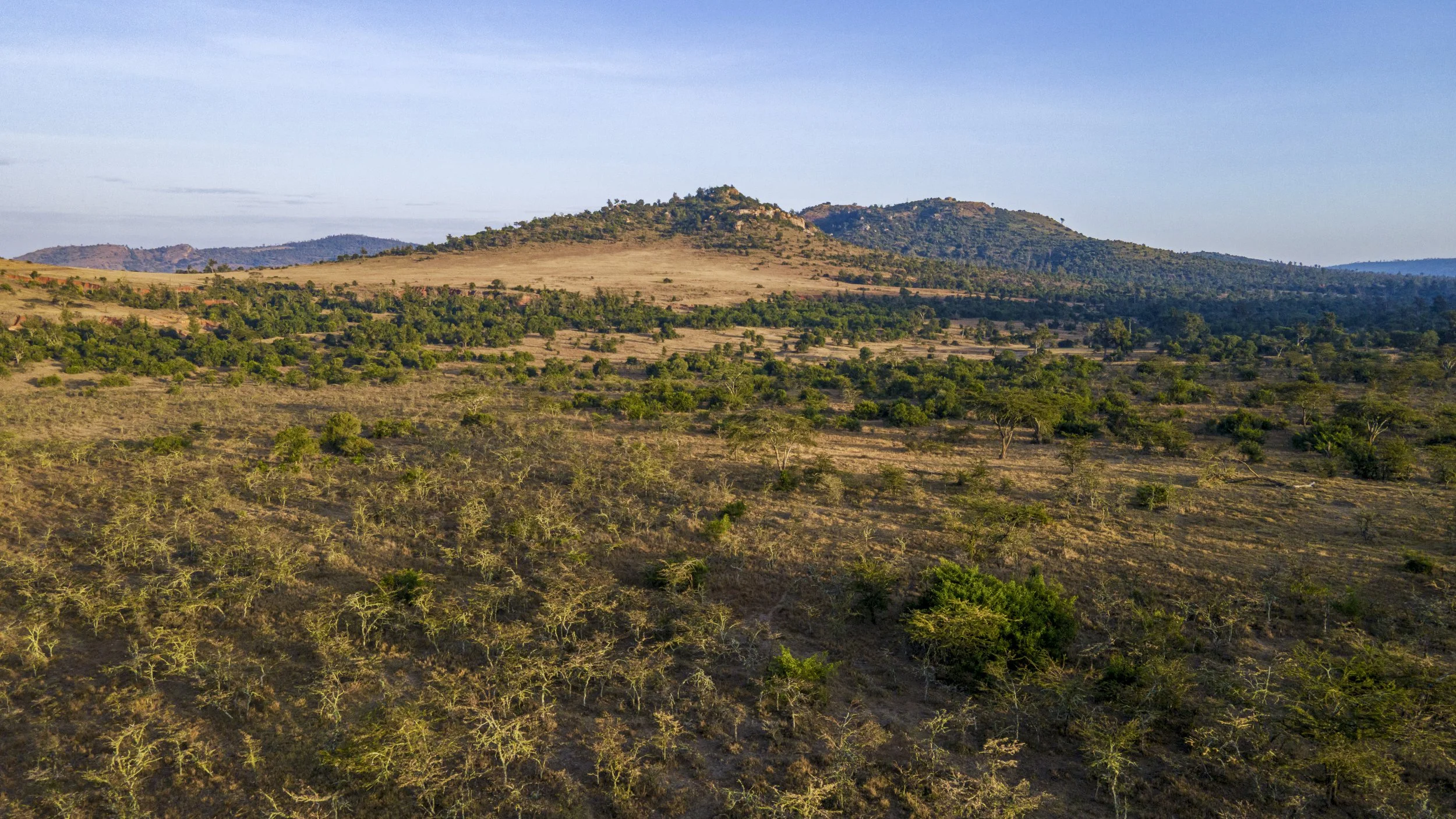 DJI_0650.jpg