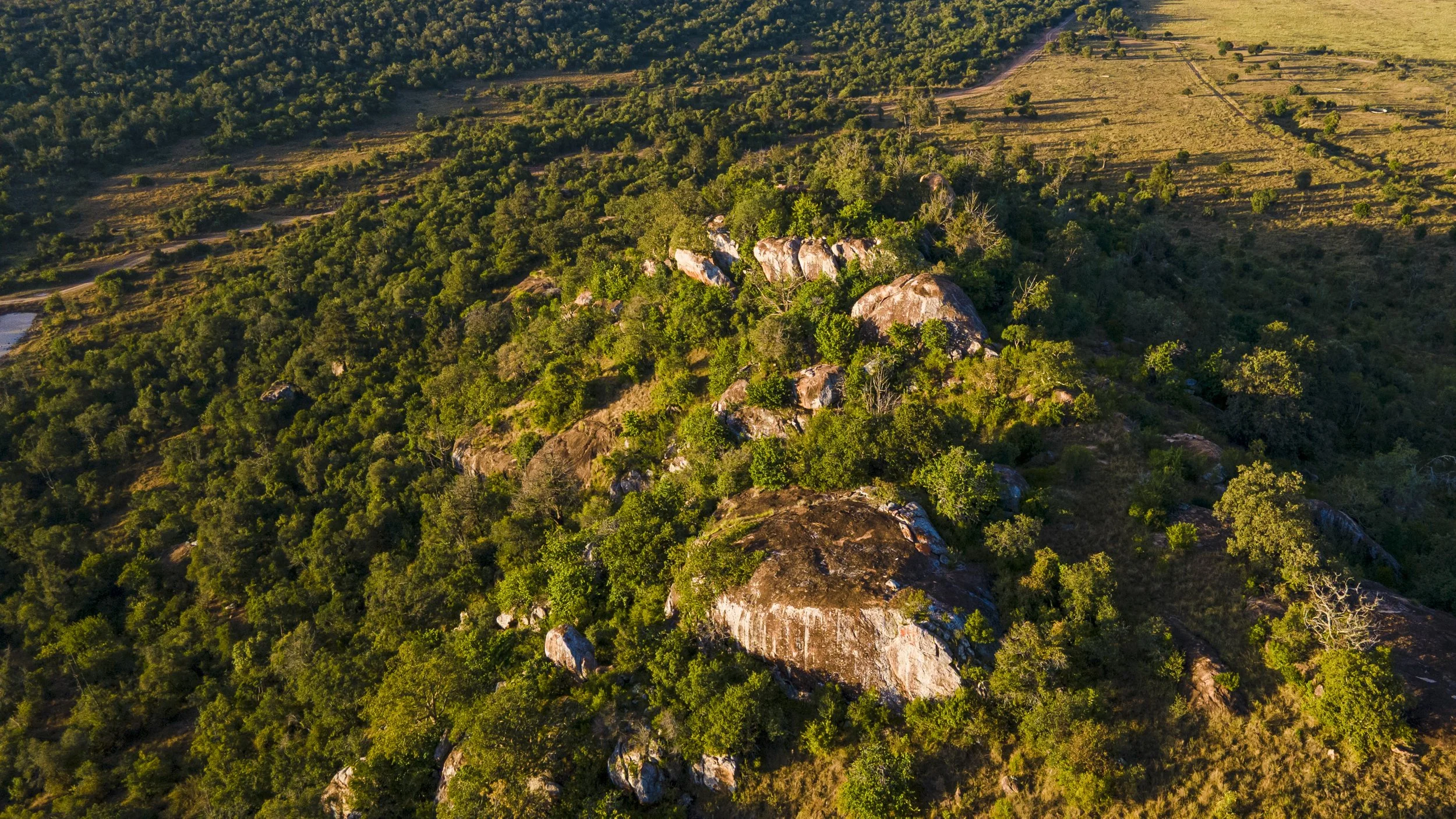 DJI_0382.jpg