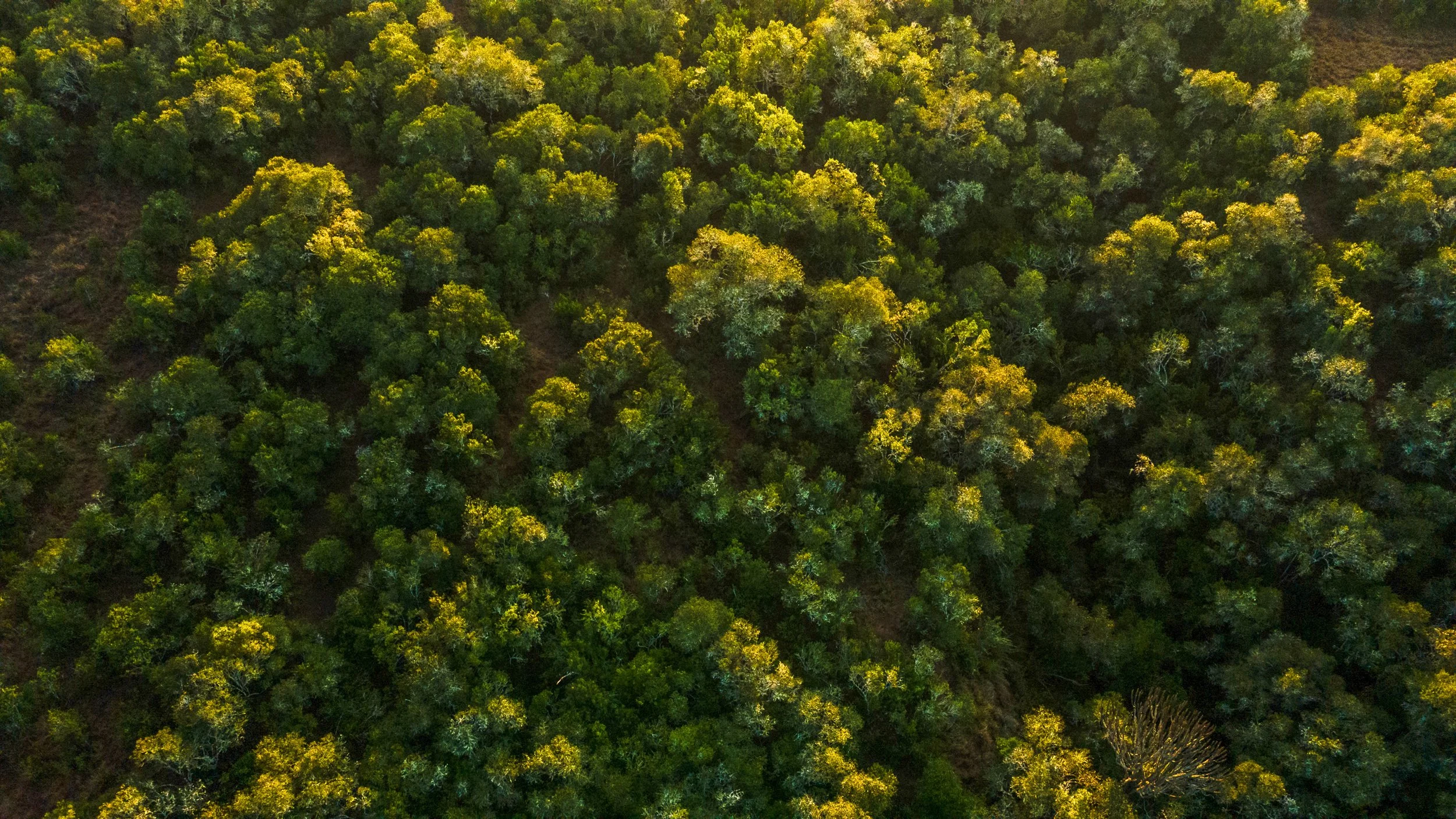 DJI_0003.jpg