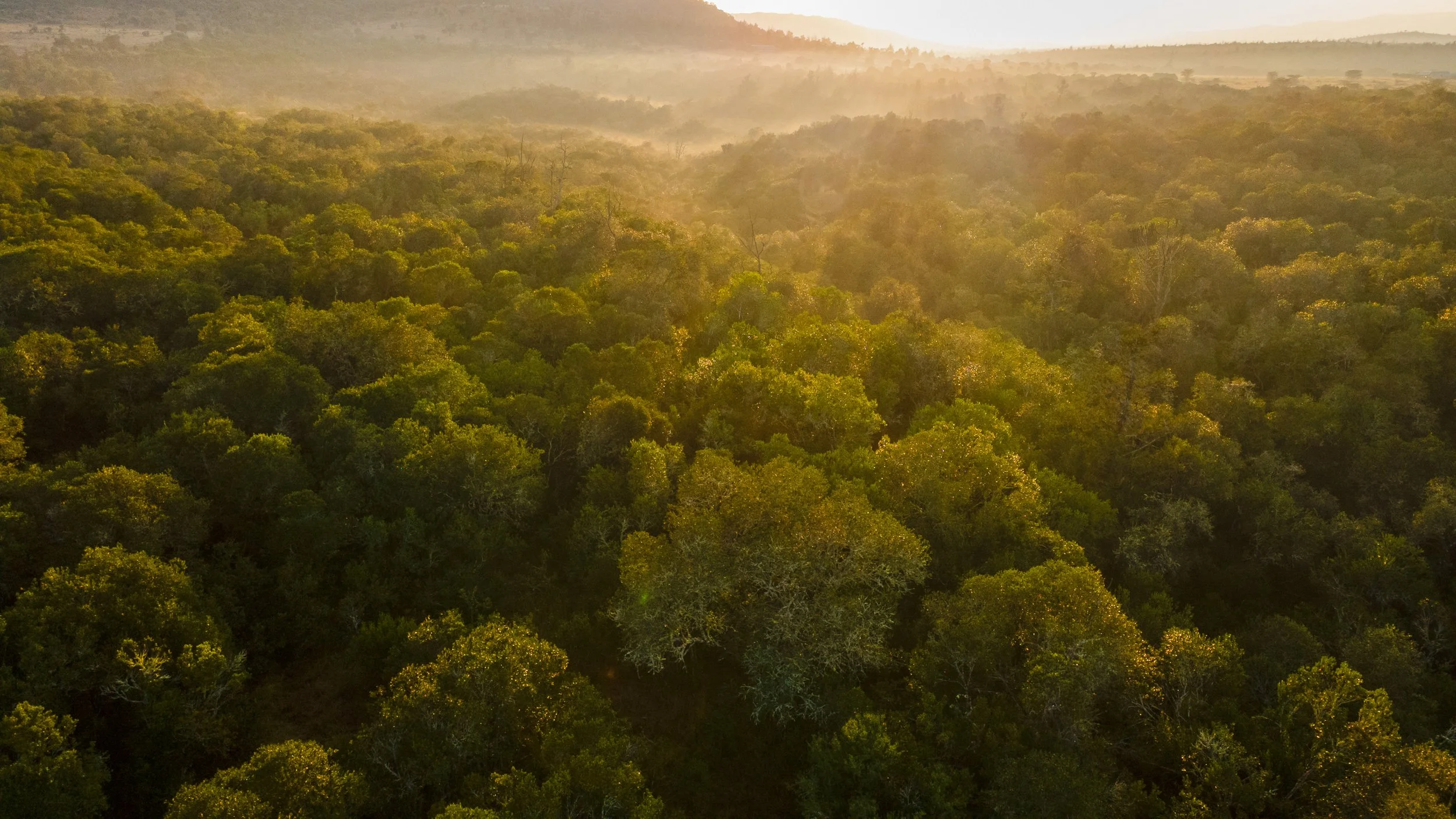 DJI_0999.jpg