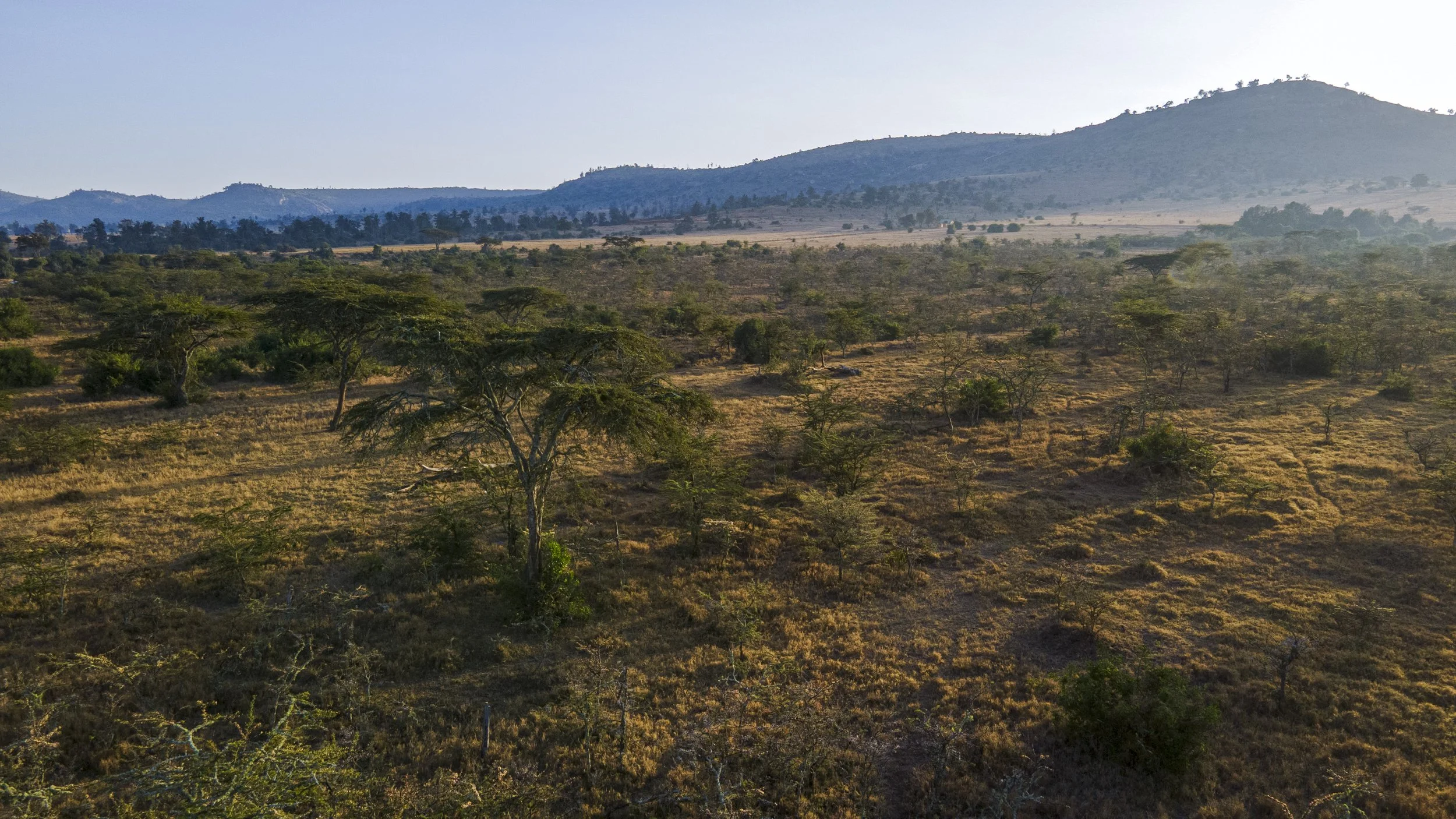 DJI_0678.jpg