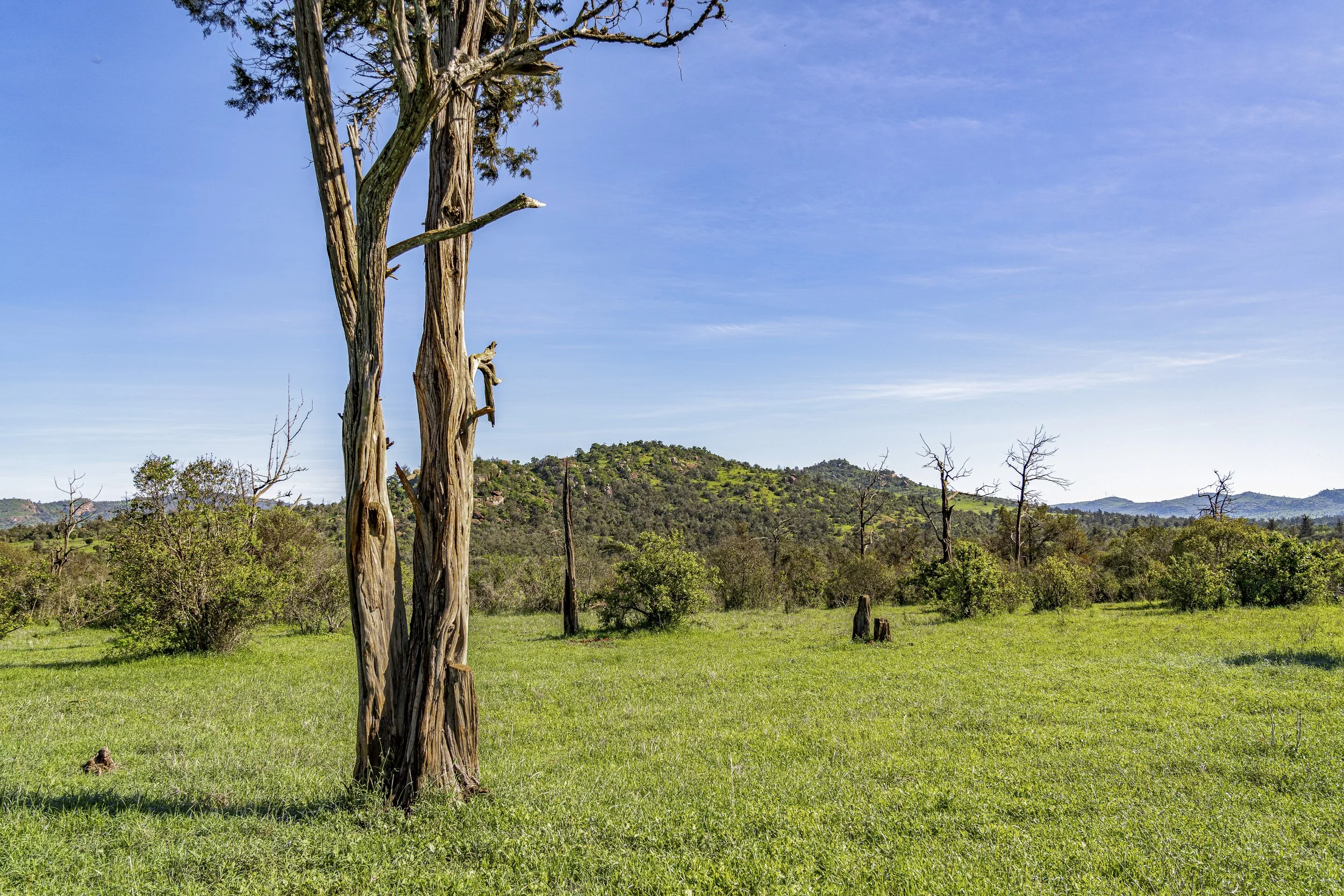 Lolldaigas-ground-stills-7402386.jpg