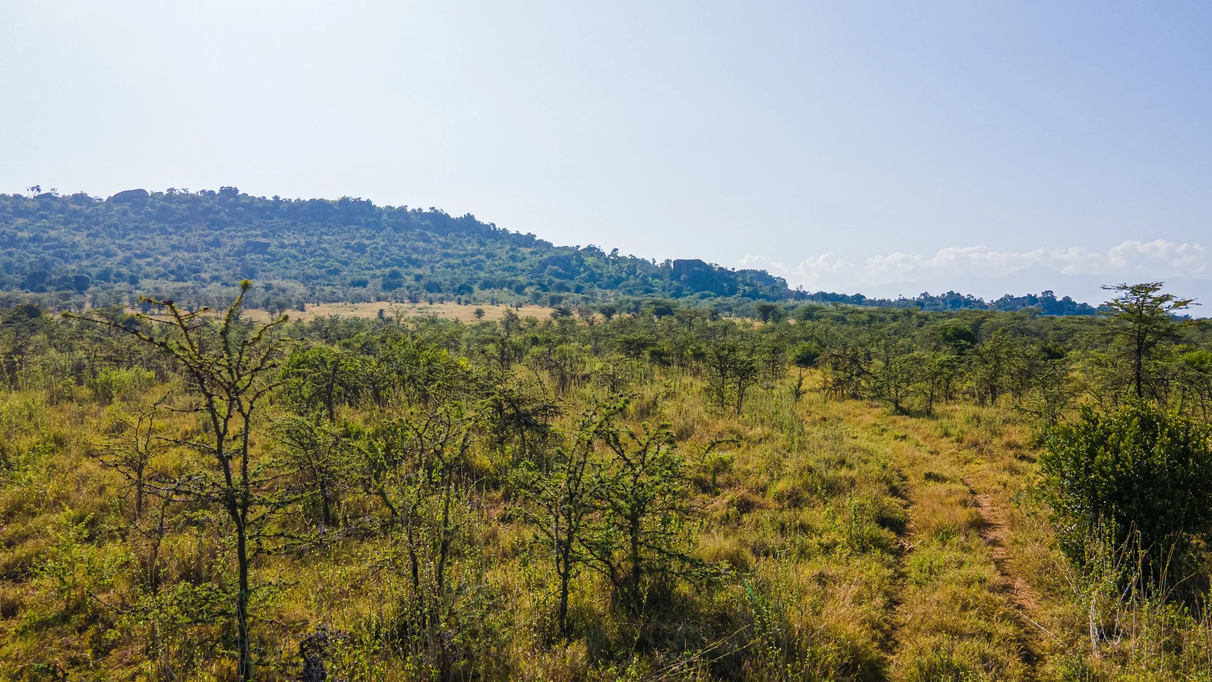 DJI_0878.jpg