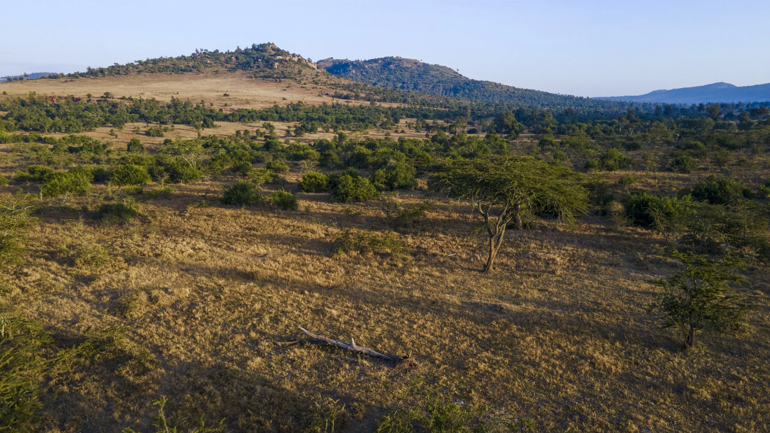 DJI_0670.jpg