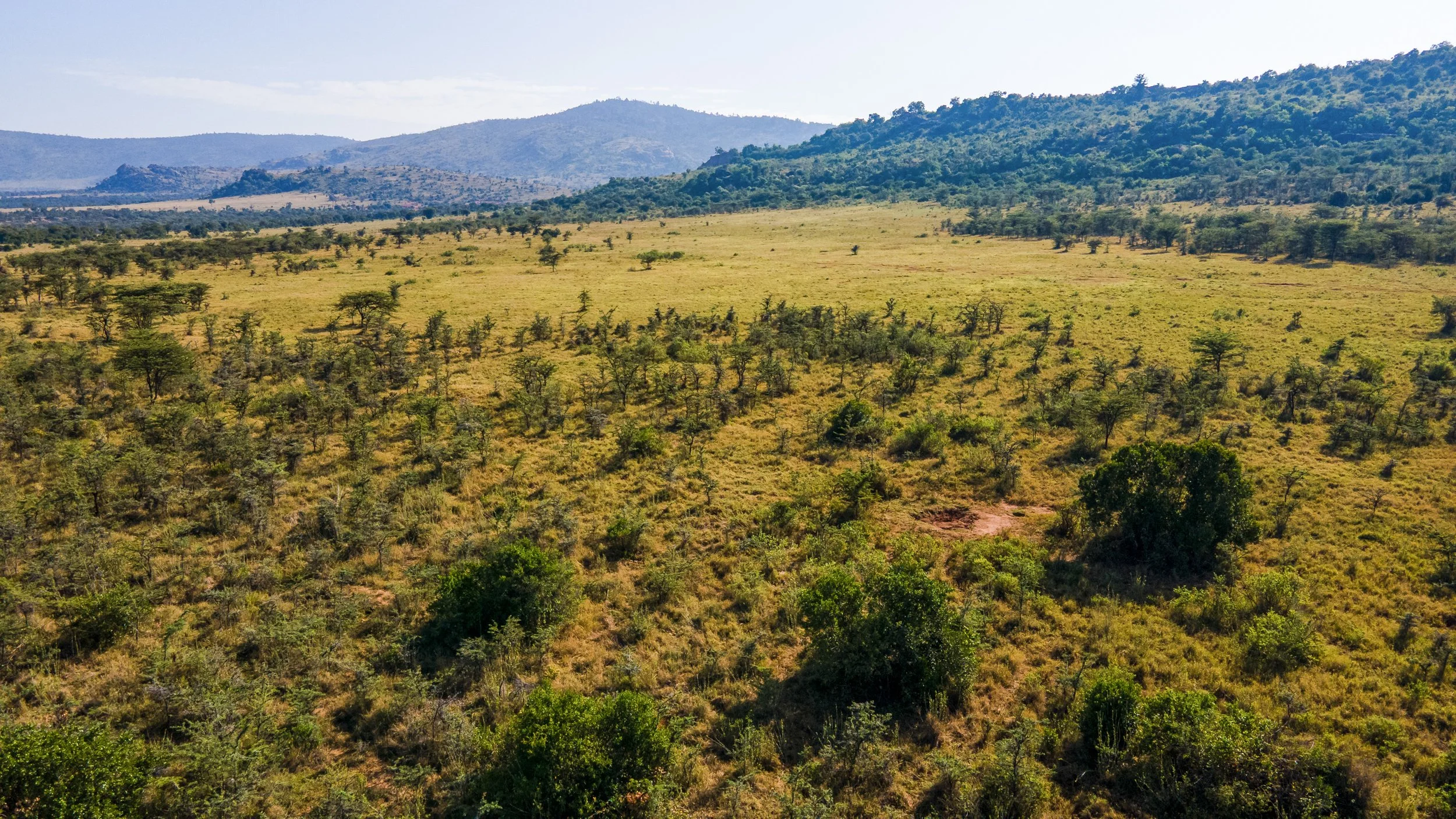 DJI_0887.jpg