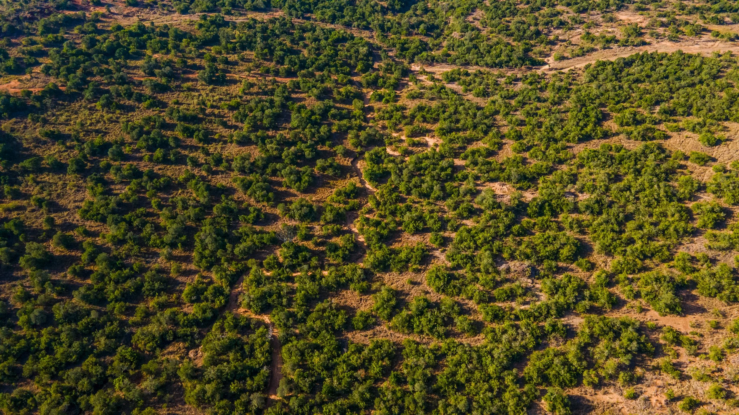 DJI_0821.jpg