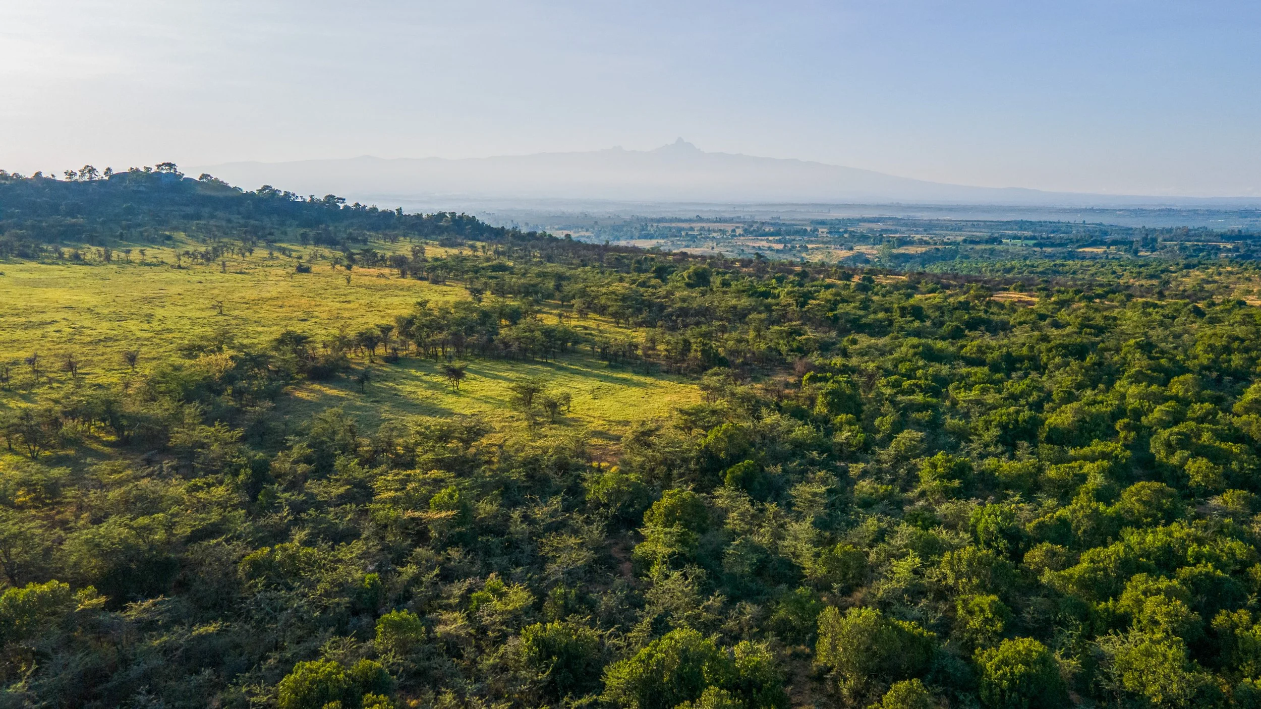 DJI_0974.jpg