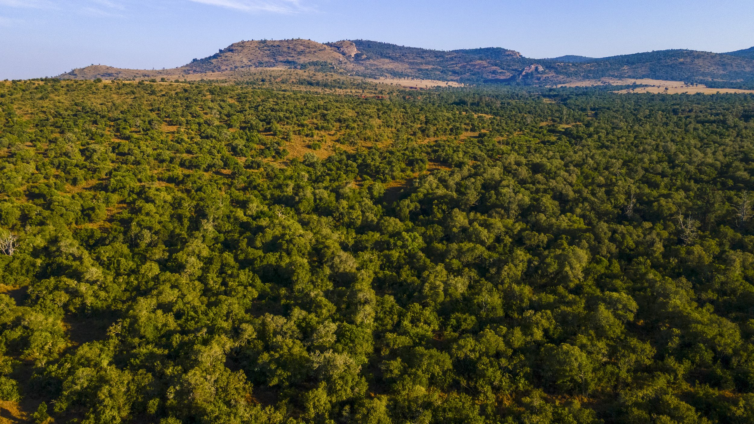 DJI_0085.jpg