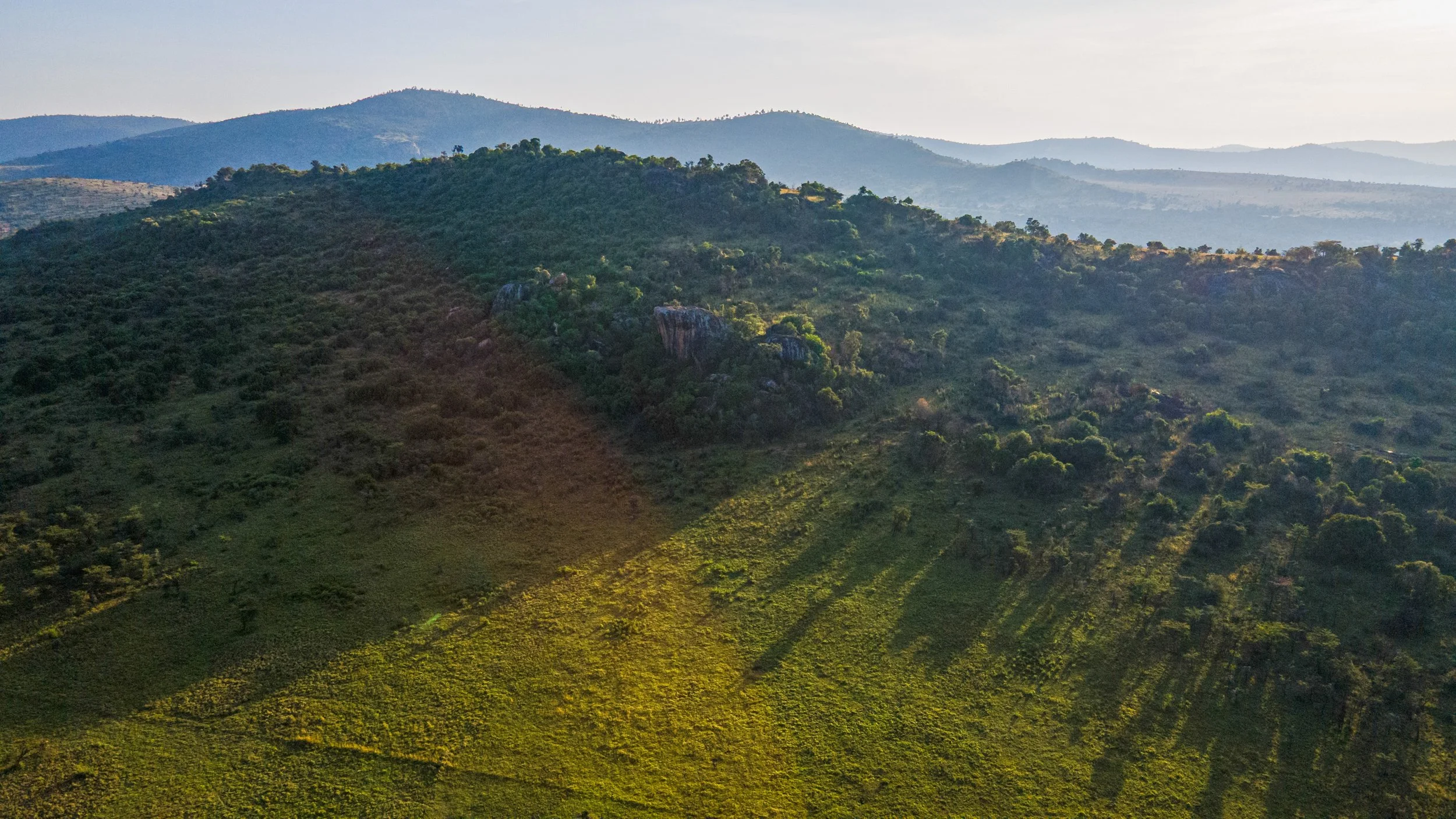 DJI_0990.jpg