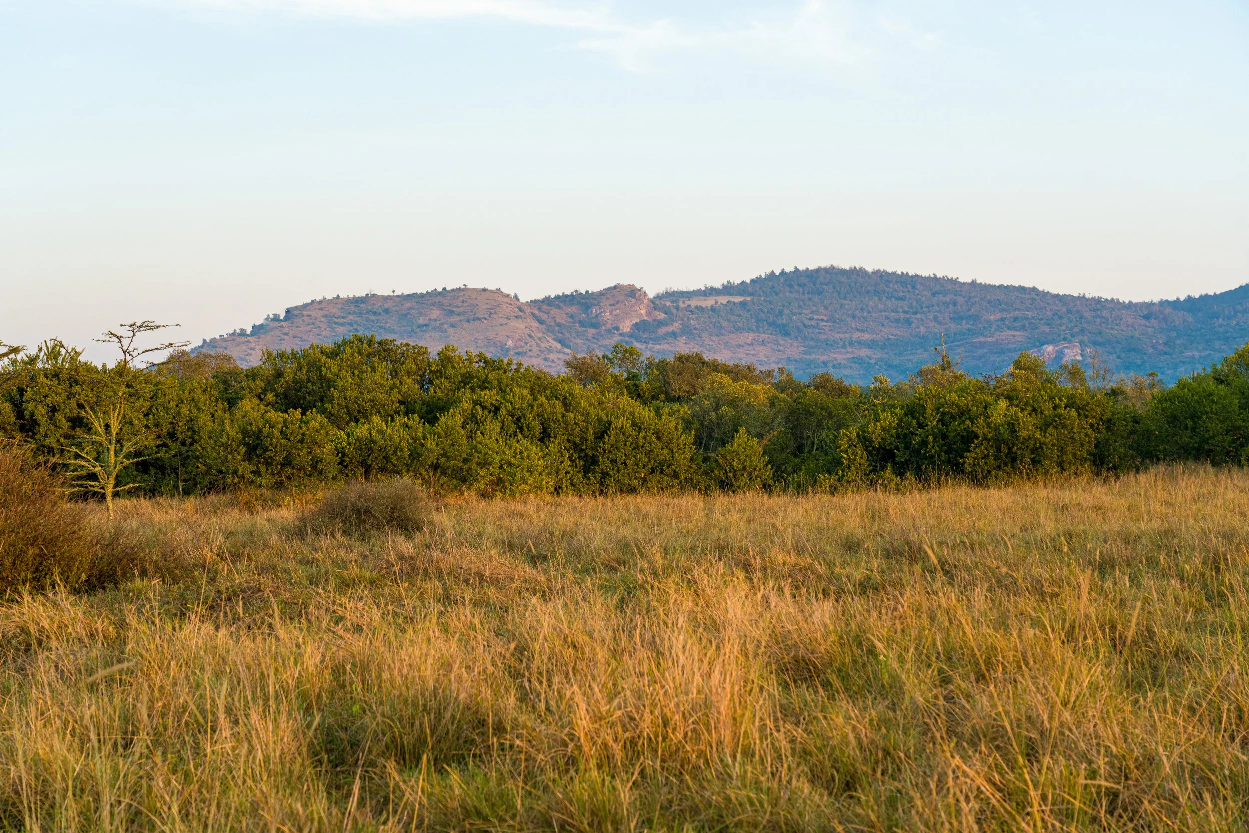 A7400518.jpg
