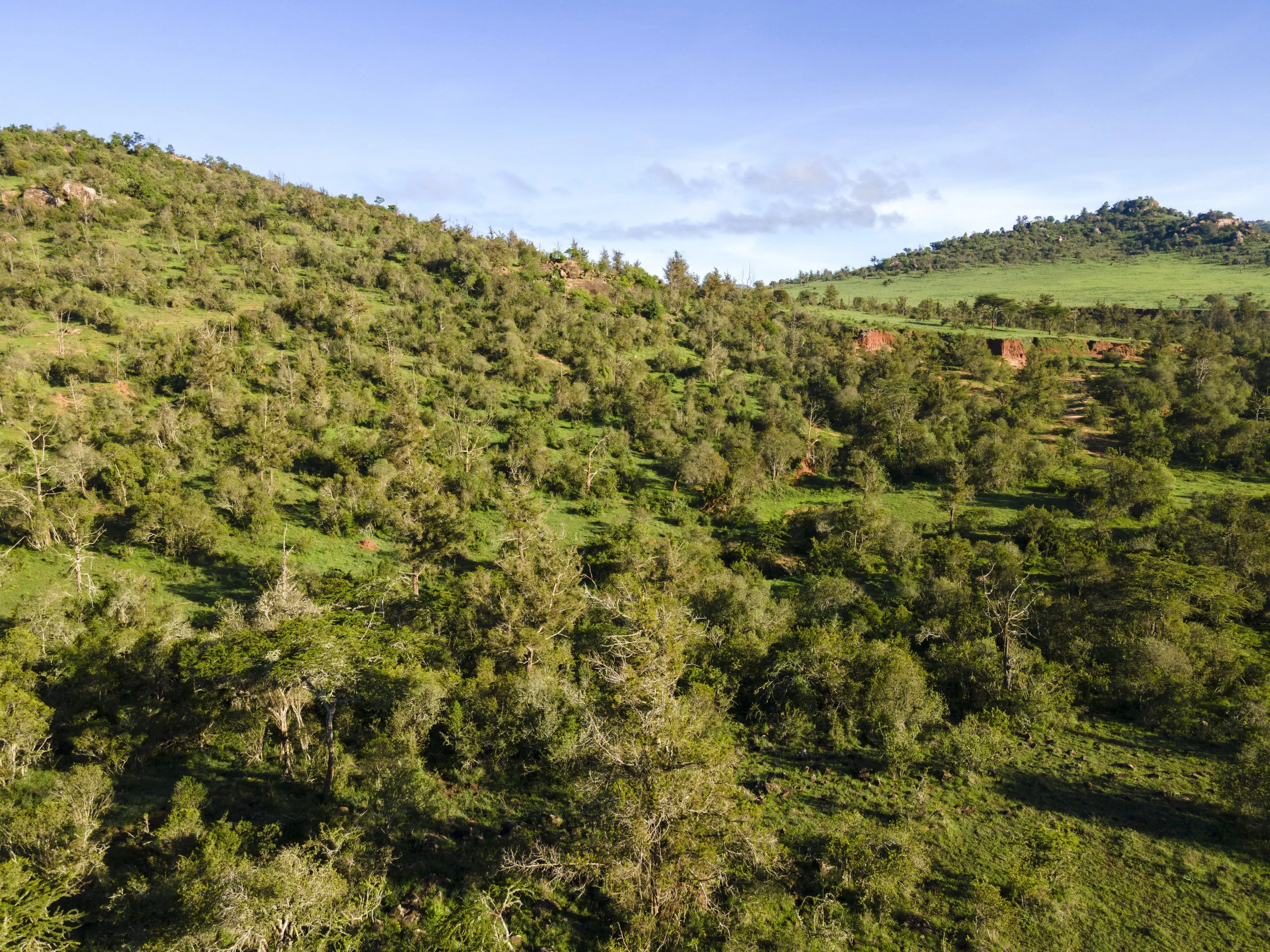 Lolldaigas-aerial-stills-1-6.jpg