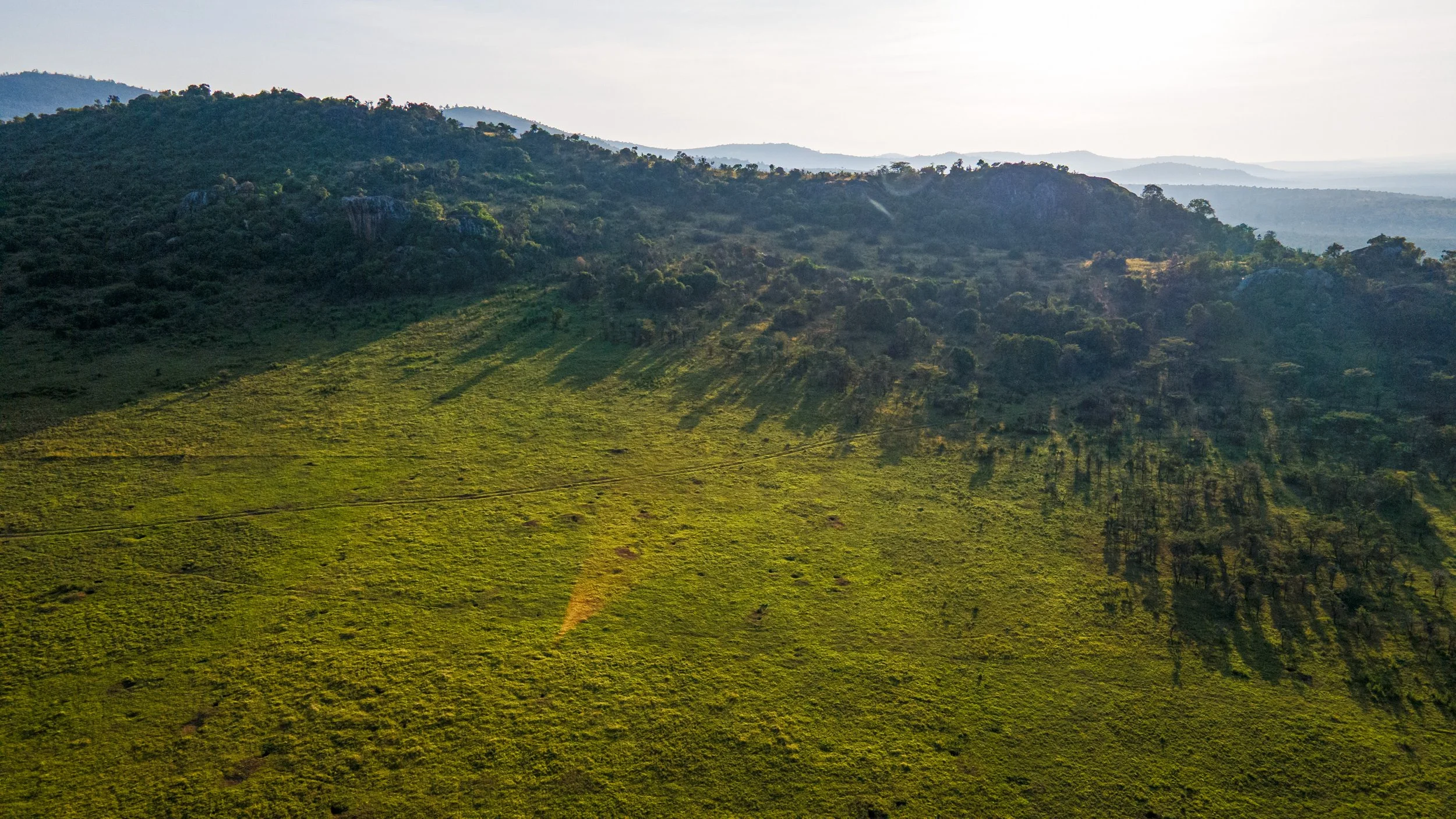 DJI_0987.jpg