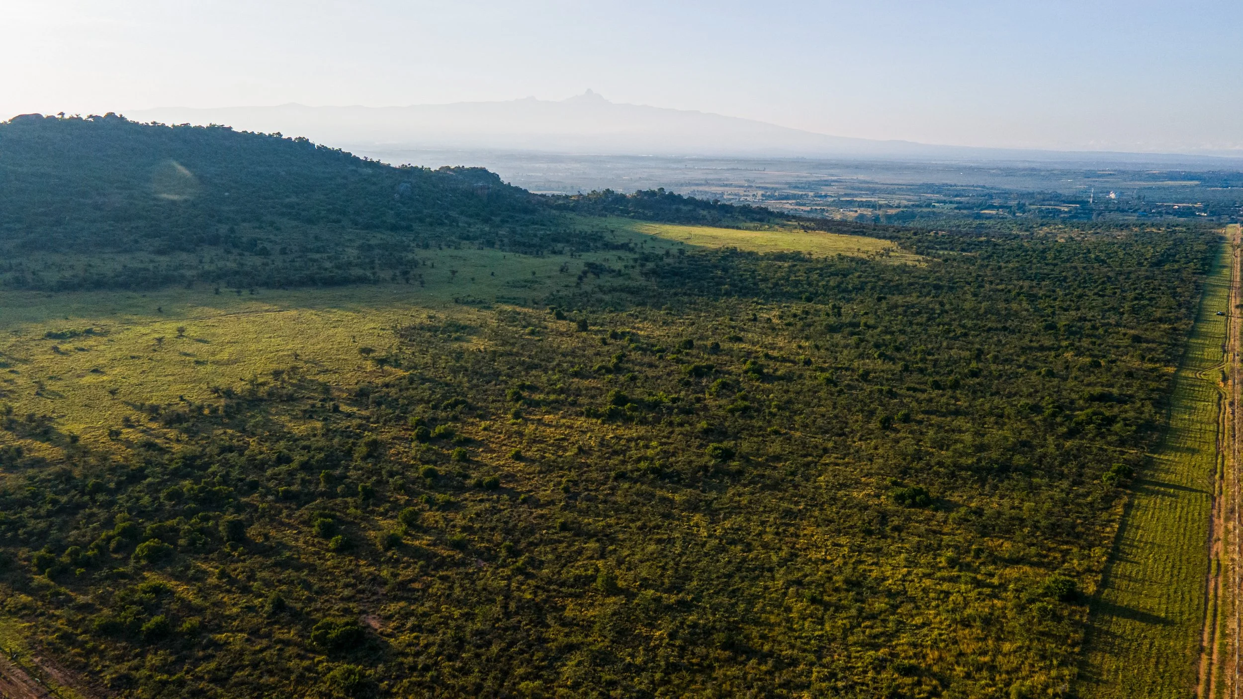 DJI_0948.jpg
