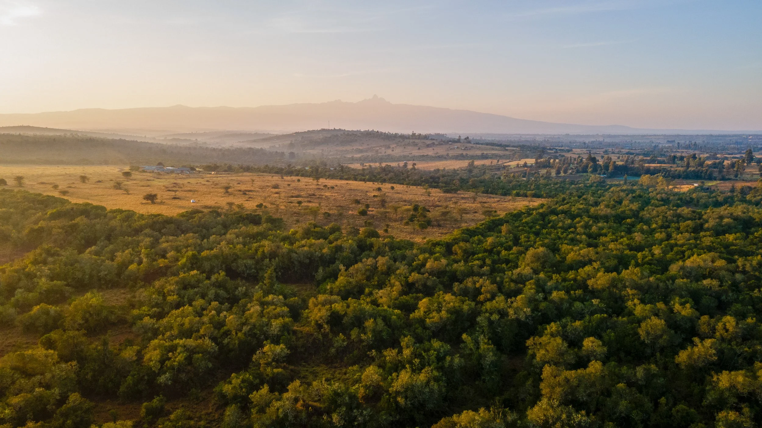 DJI_0990.jpg