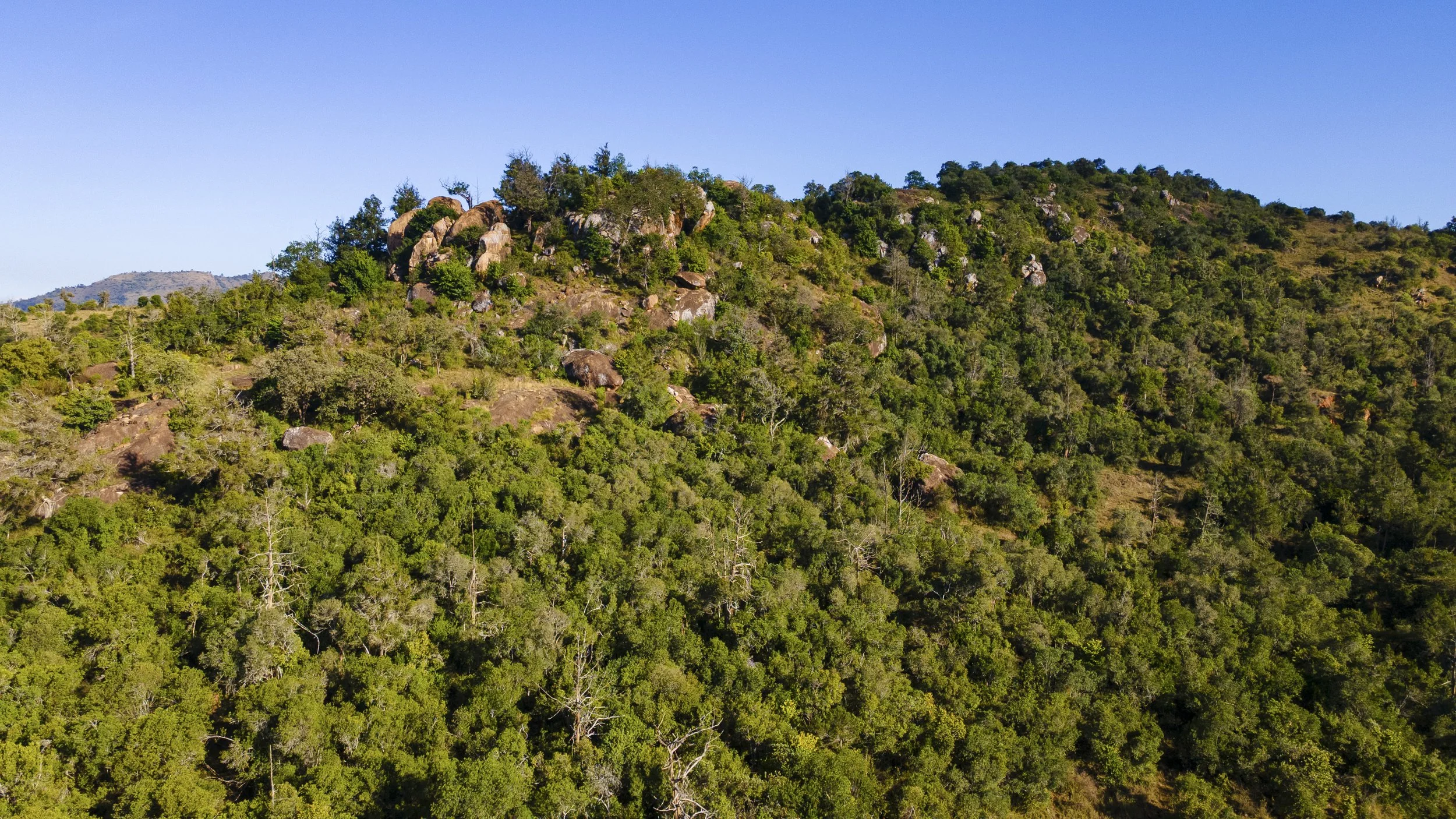 DJI_0324.jpg