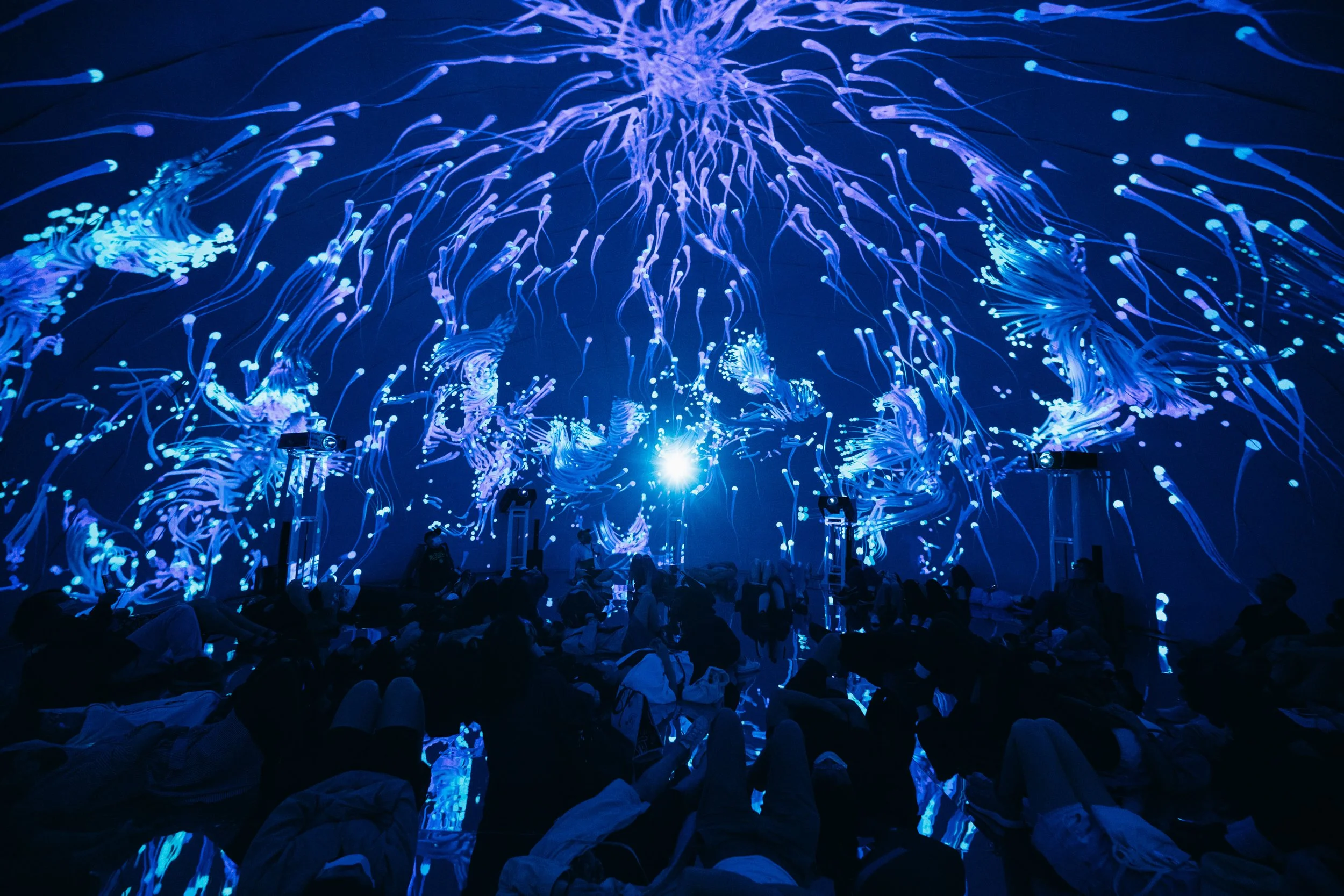 20221008124.jpg
