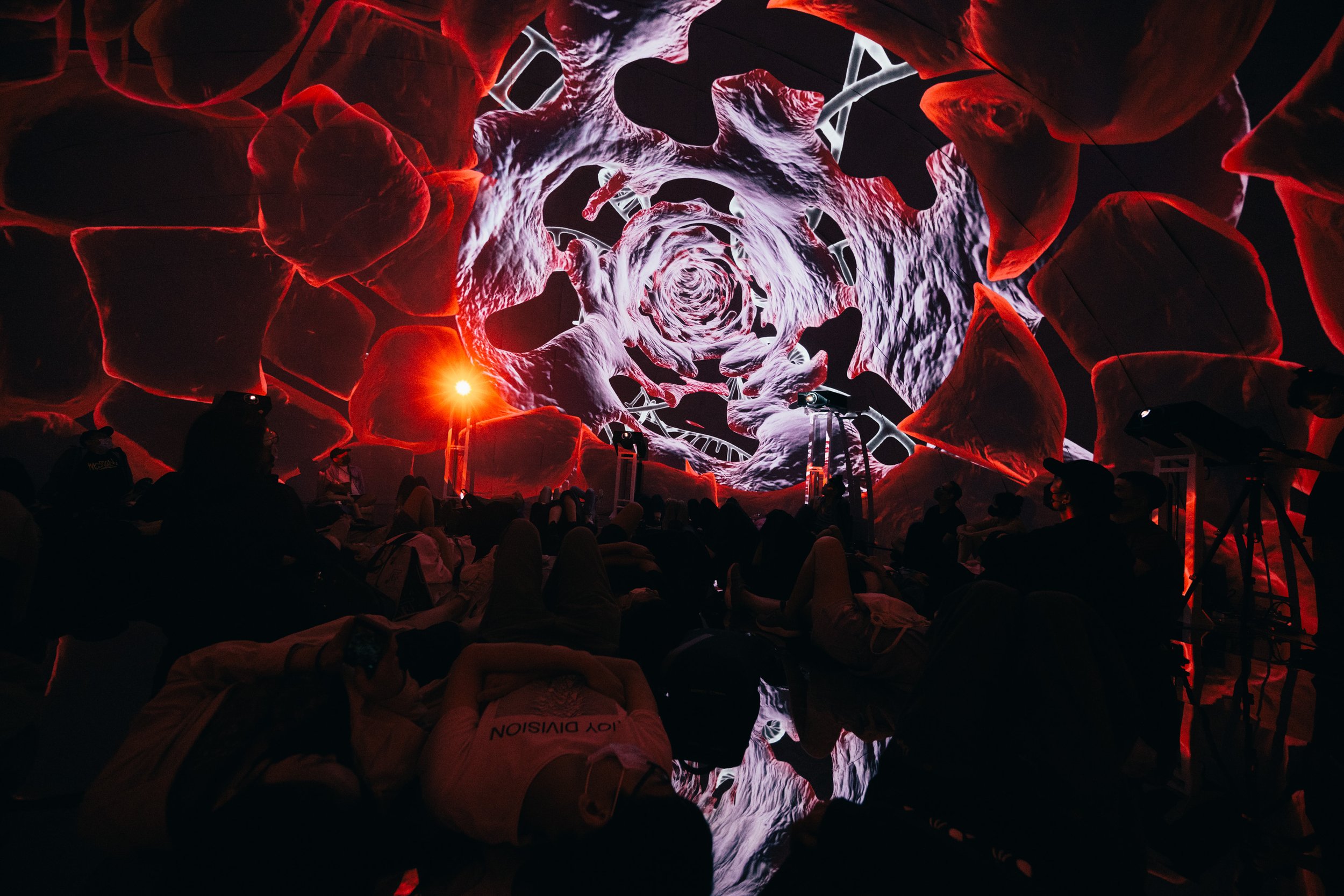 20221008116.jpg
