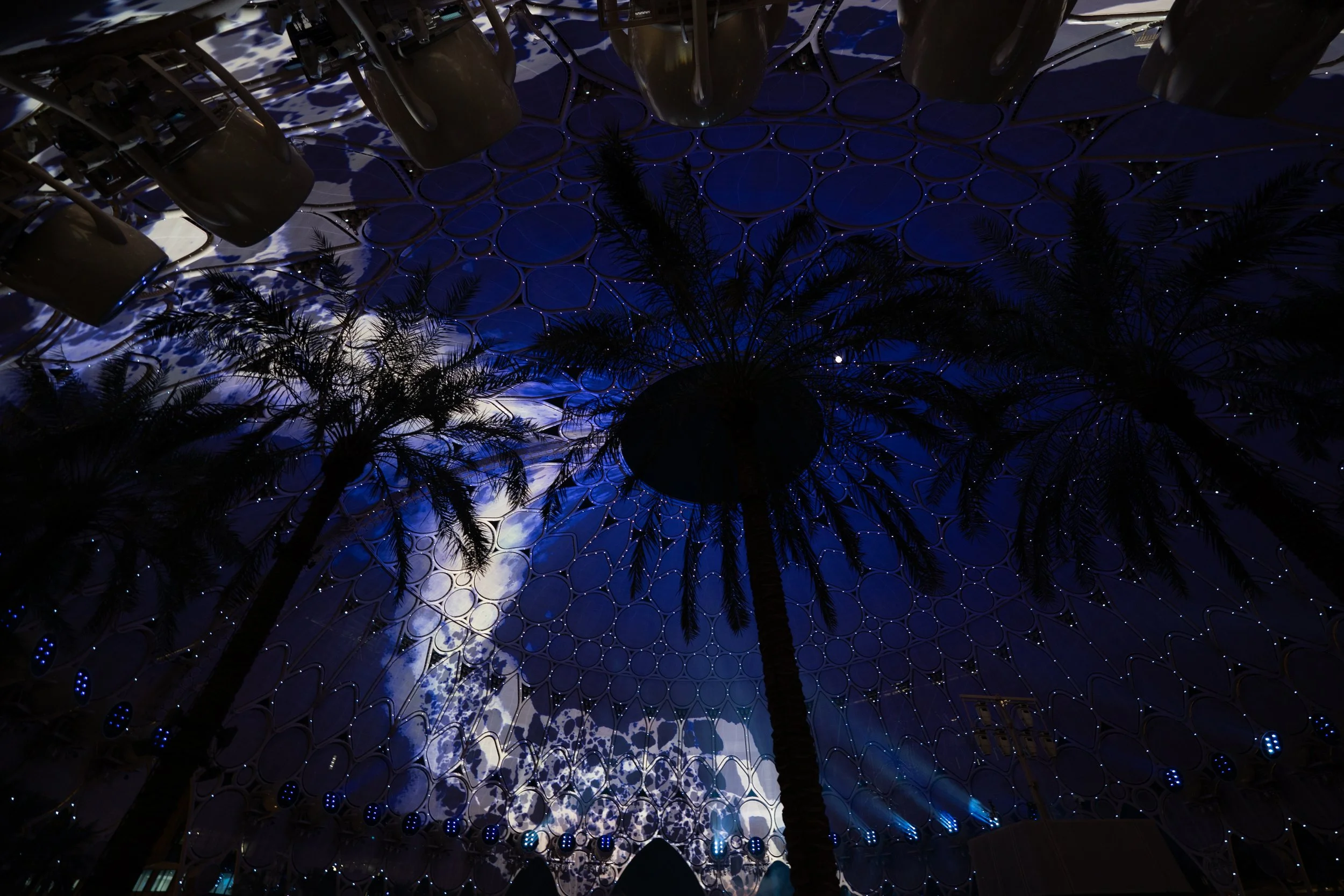 DSC09348.jpg