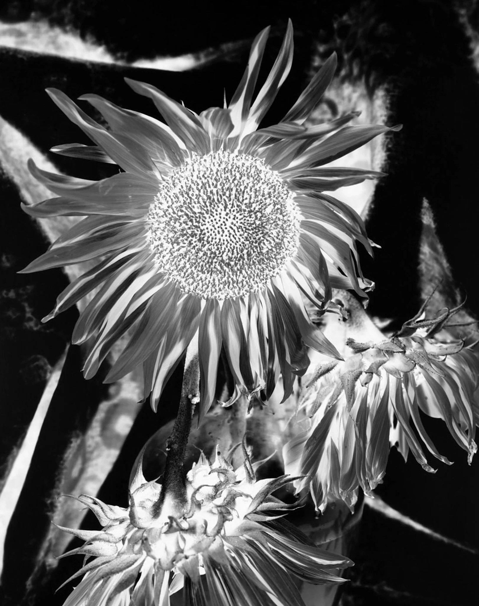 IMG_6480.jpeg