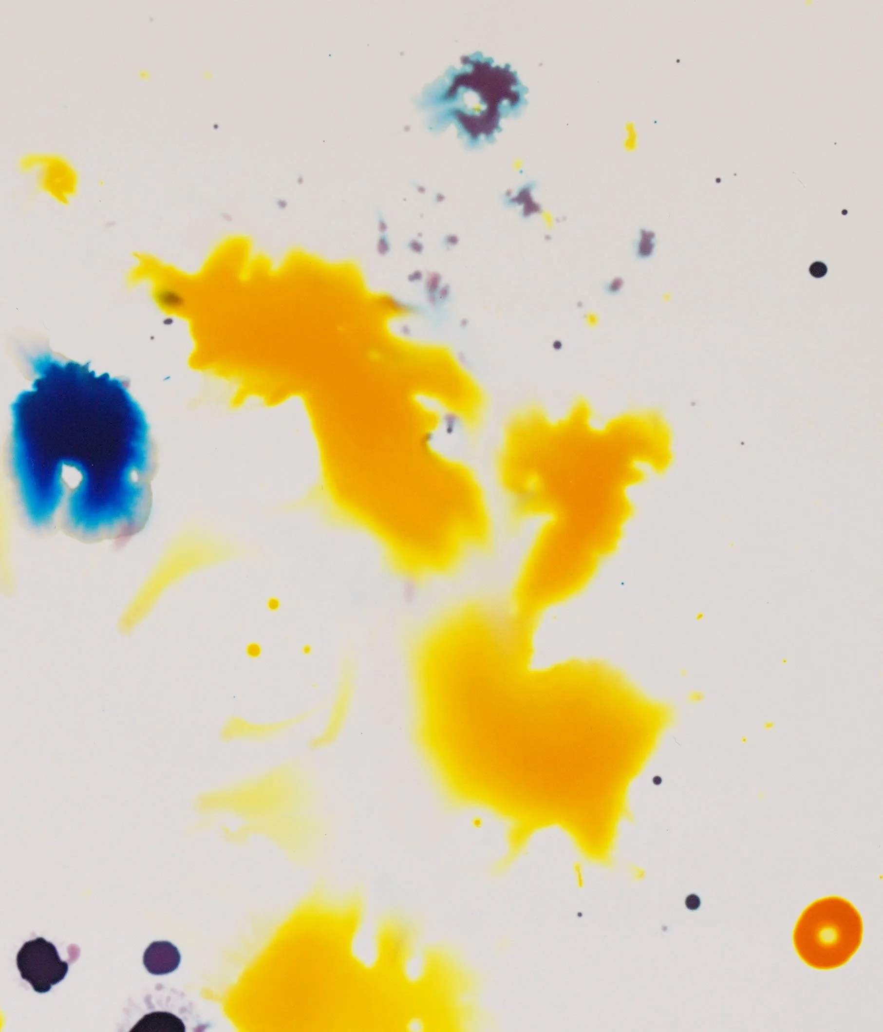yellow.fr.detail1.jpg